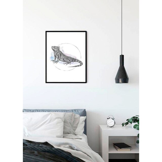 ♕ Komar Poster »Iguana Watercolor«, Tiere, (1 St.), Kinderzimmer,  Schlafzimmer, Wohnzimmer versandkostenfrei auf