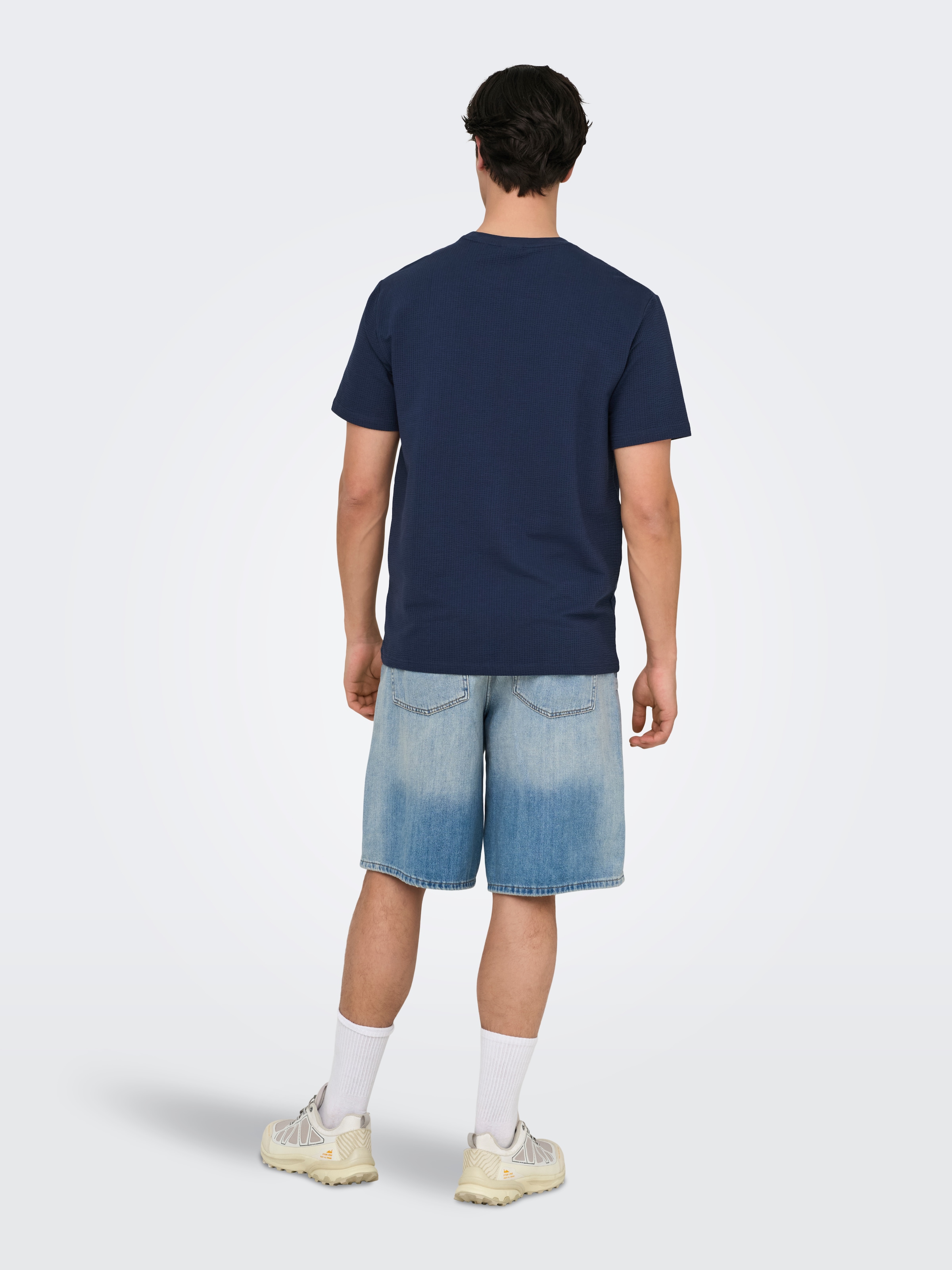 ONLY & SONS Rundhalsshirt »ONSKIAN LIFE REG SEERSUCKER SS TEE NOOS«