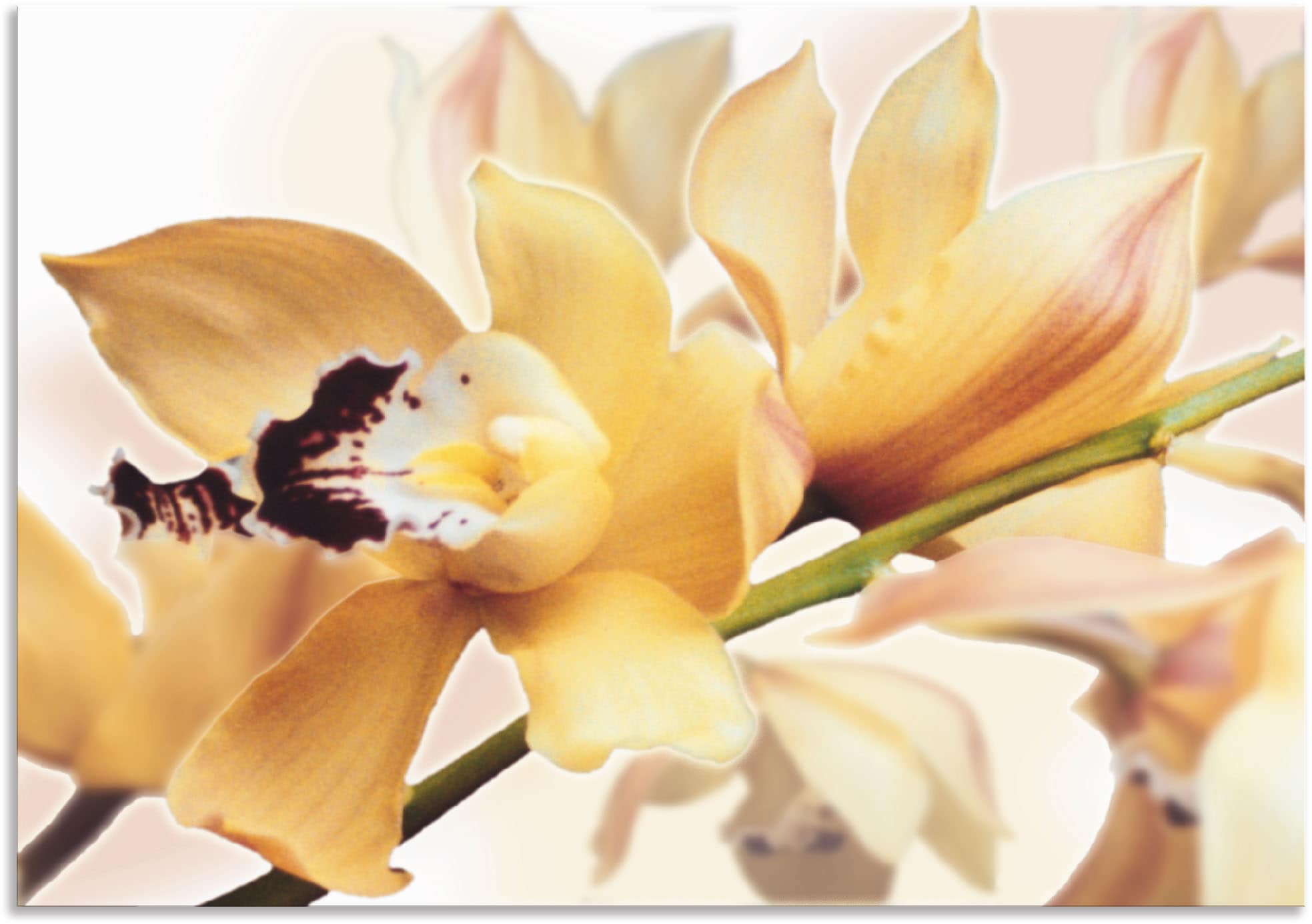 Image of Artland Wandbild "Gelbe Orchidee" Blumenbilder 1 Stk. tlg. als Alubild, Leinwandbild in verschied. Grössen
