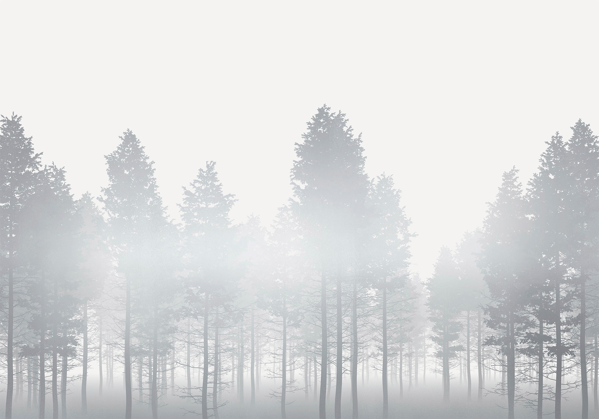 Image of Komar Fototapete »Silver Haze«, floral-schimmernd-Silber-Optik bei Ackermann Versand Schweiz