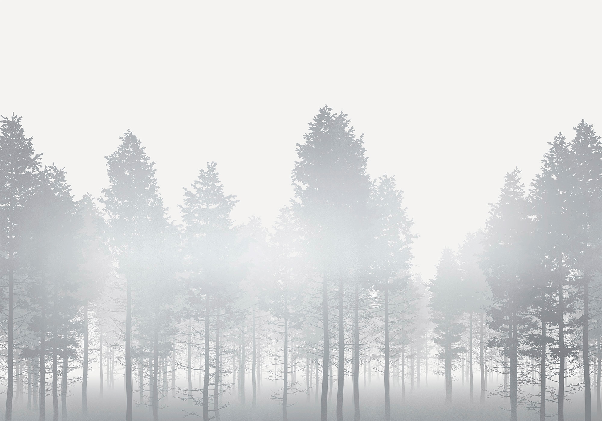 Image of Komar Vliestapete "Digitaldruck Vlies - Silver Haze - Grösse 400 x 280 cm" bedruckt glatt Wohnzimmer, Schlafzimmer