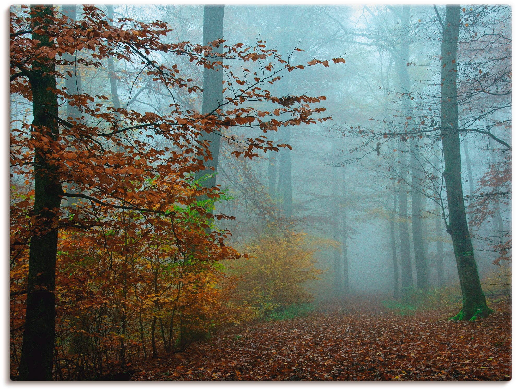 Image of Artland Wandbild »Nebel im Herbstwald«, Wald, (1 St.), in vielen Grössen & Produktarten -Leinwandbild, Poster, Wandaufkleber / Wandtattoo auch für Badezimmer geeignet bei Ackermann Versand Schweiz