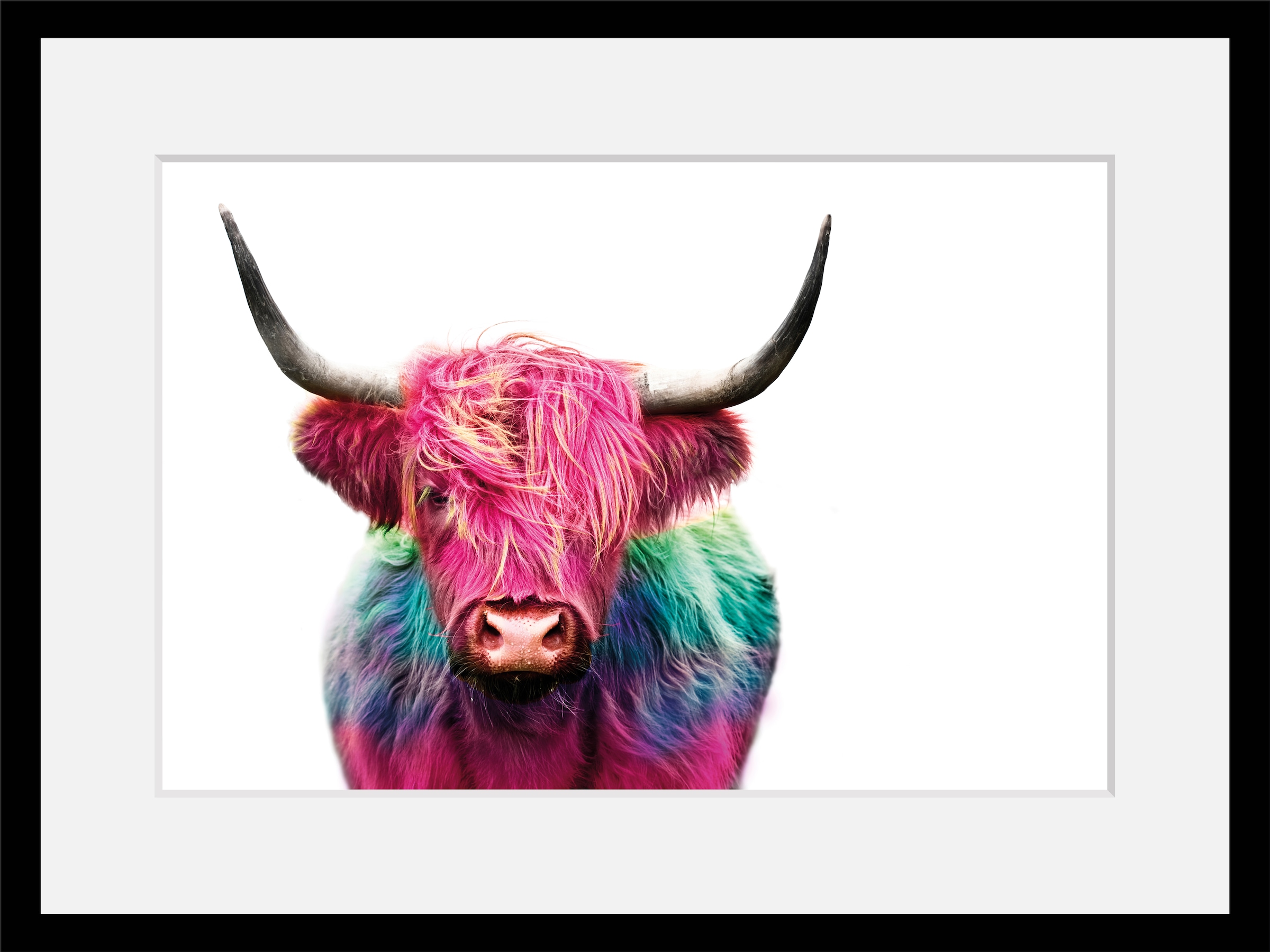 Image of queence Bild "Yak" Foto Kuh Kuhbilder Kunst HD Premium Poster-Druck inkl. Holzrahmen