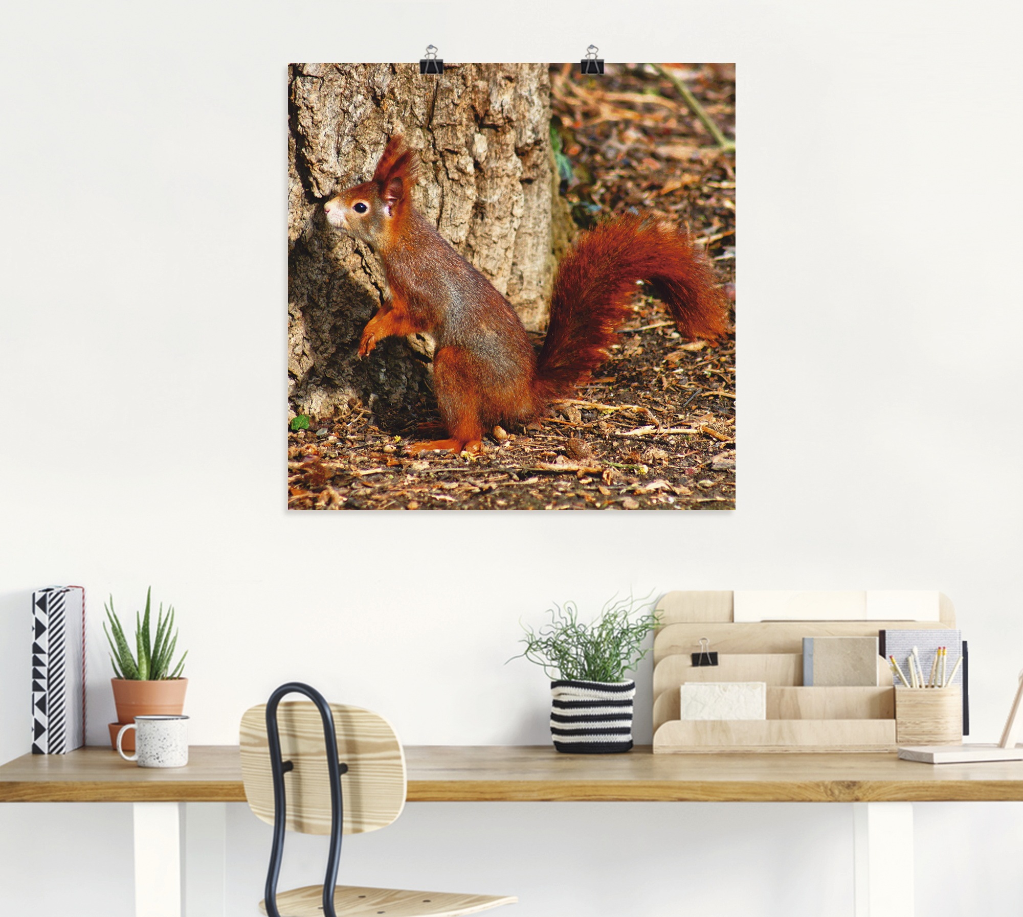 Artland Wandbild »Rotes Eichhörnchen will hoch hinaus«, Wildtiere, (1 St.), als Poster, Wandaufkleber in verschied. Grössen