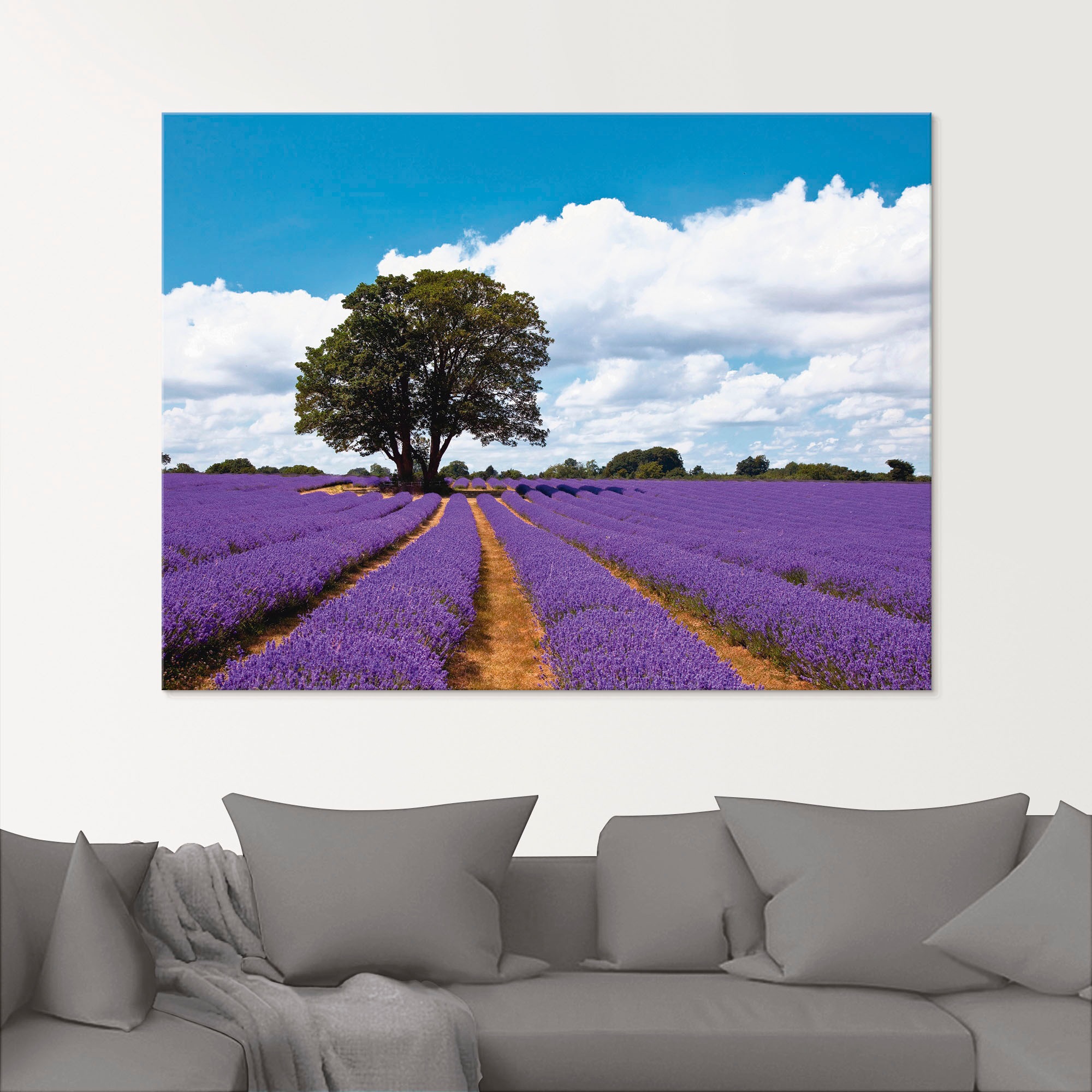 Artland Glasbild »Schönes Lavendelfeld im Sommer«, Felder, (1 St.), in  verschiedenen Grössen à bas prix