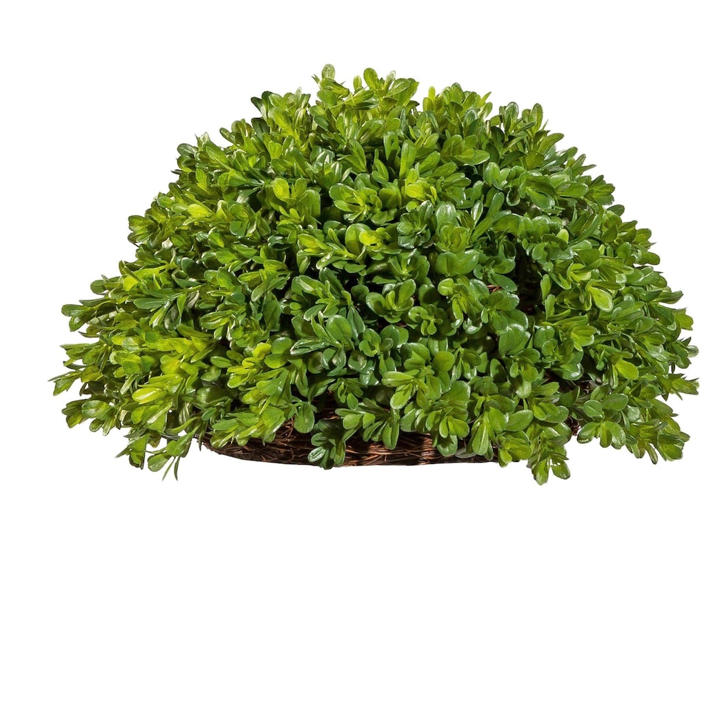 Creativ green Kunstpflanze »Buchsbaum Halbkugel«