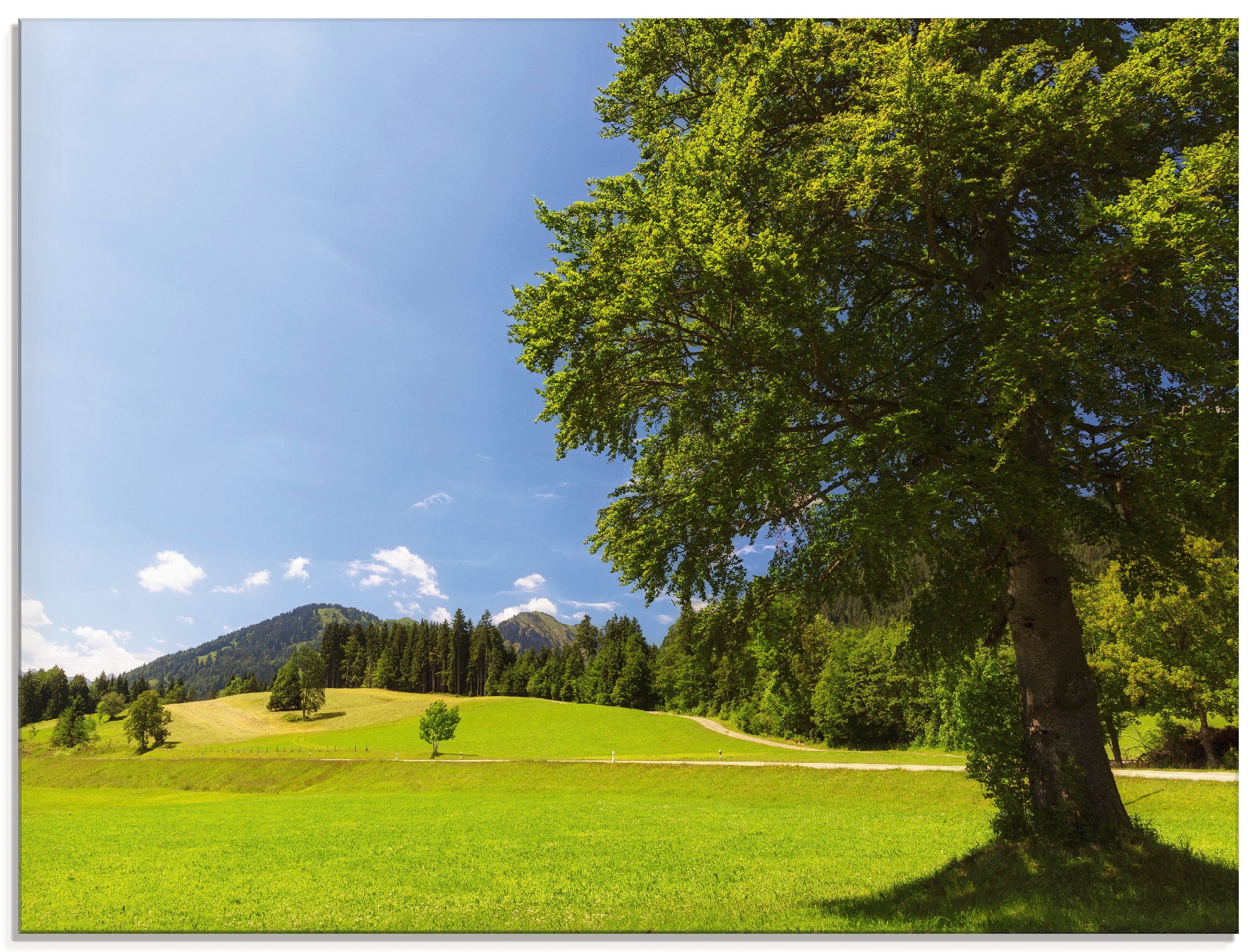 Image of Artland Glasbild "Bayrische Landschaft" Wiesen & Bäume 1 Stk. tlg. in verschiedenen Grössen
