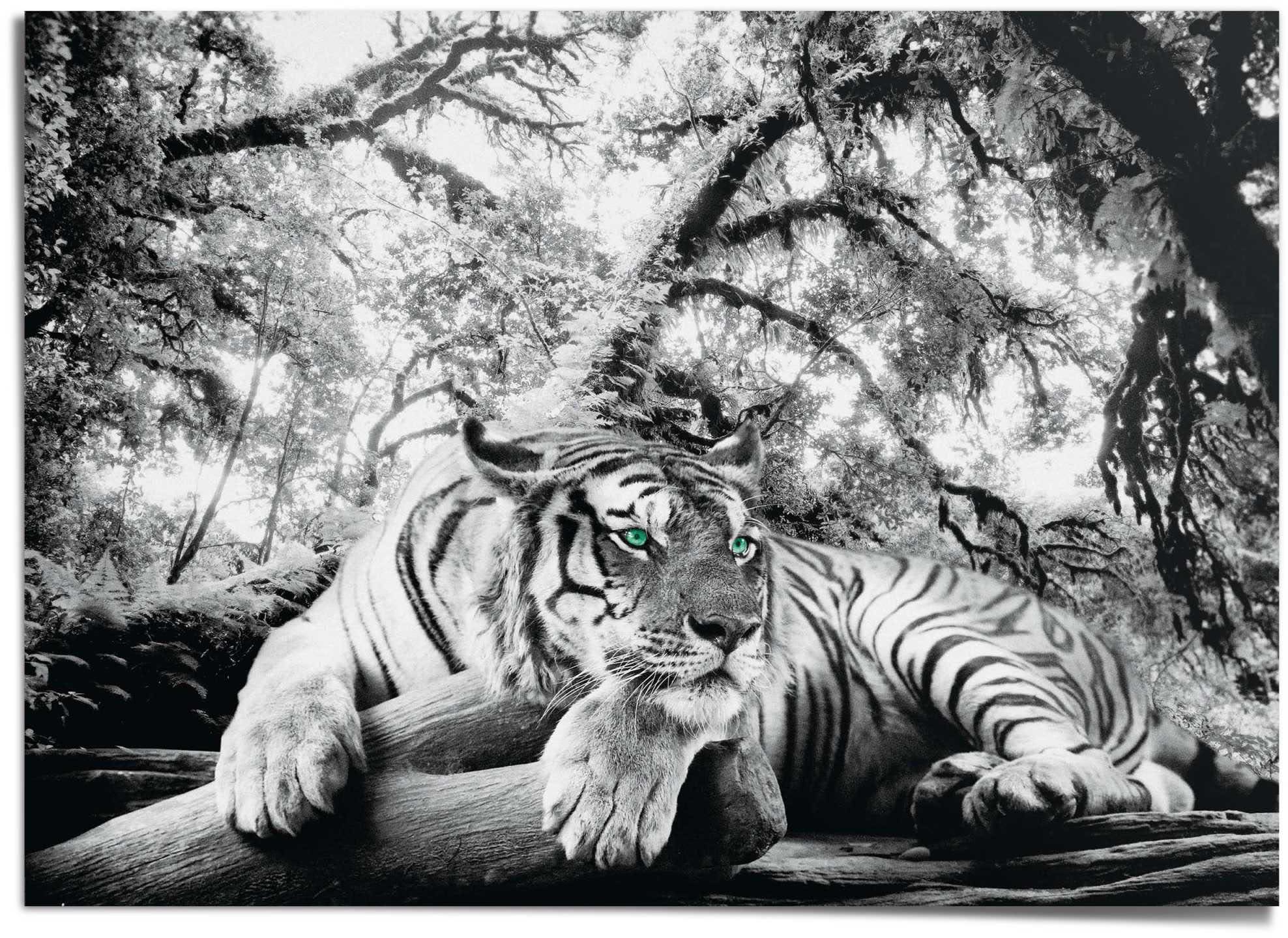 Image of Reinders Poster "Tiger"