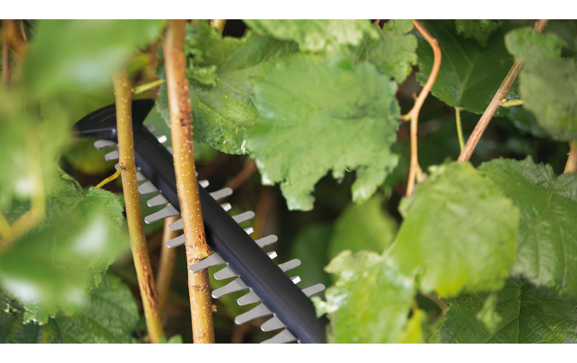 Akku-Heckenschere »UniversalHedgeCut 18 V-55«