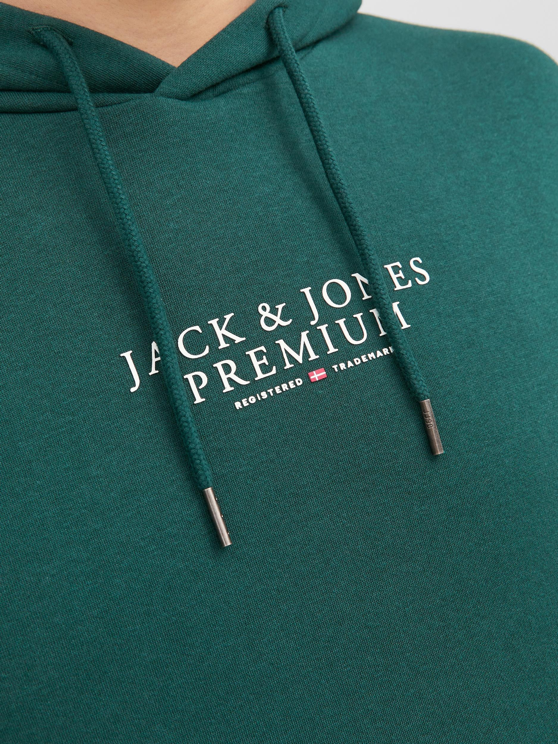 Jack & Jones Kapuzensweatshirt »JPRBLUARCHIE SWEAT HOOD NOOS«
