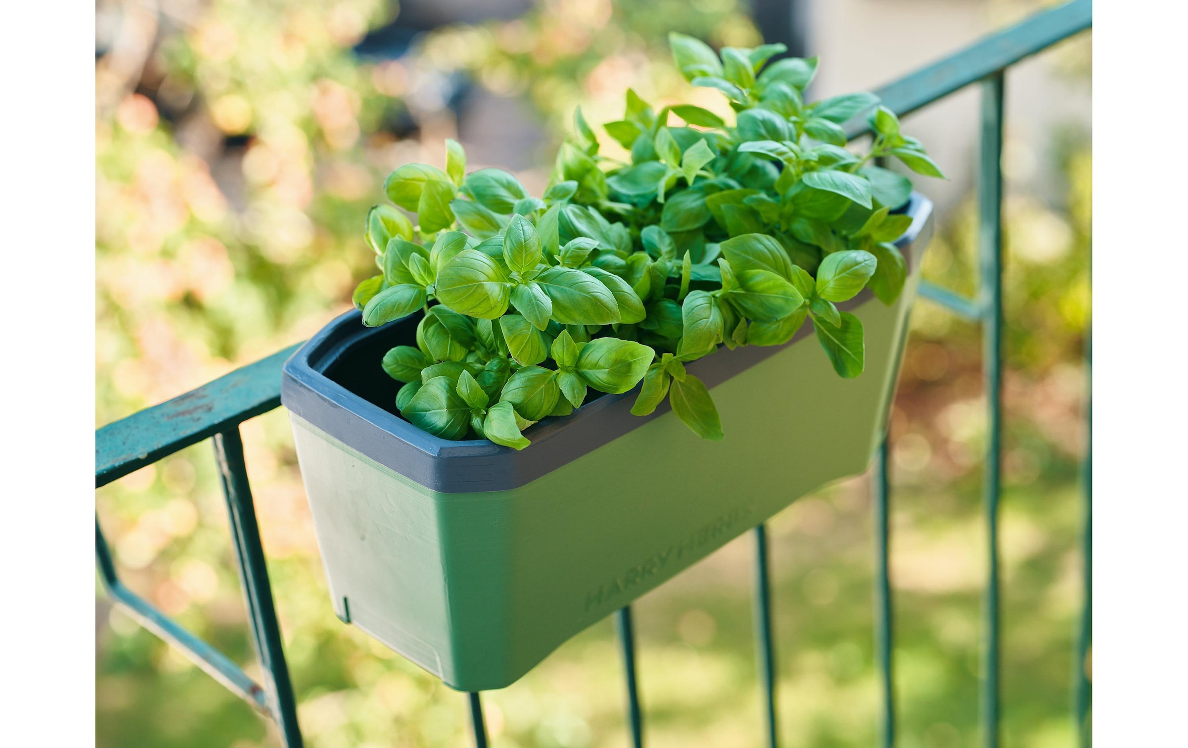 Gusta Garden Kräutertopf »HERBS dunkelgrün«