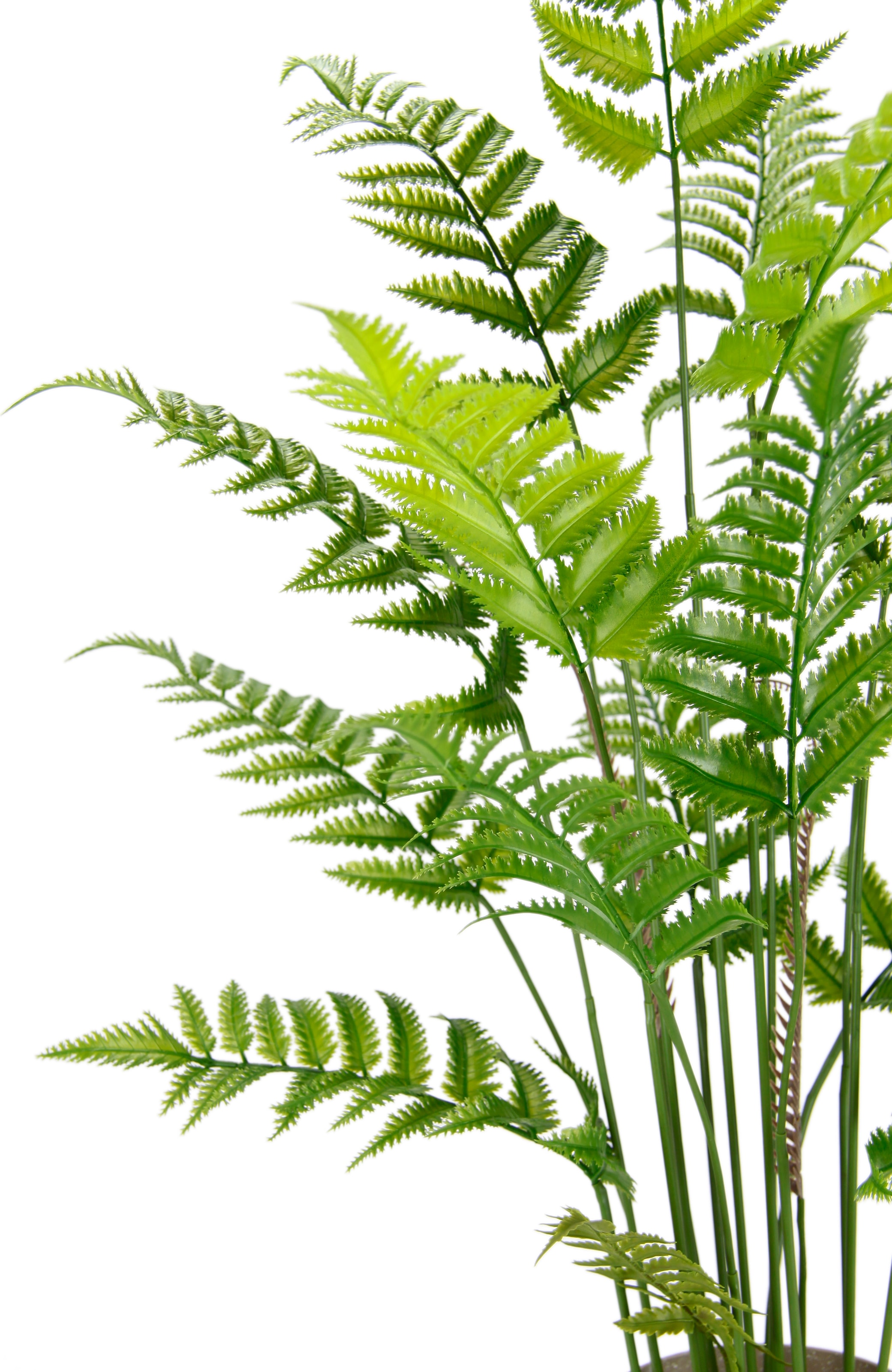 I.GE.A. Plante artificielle »Künstlicher Waldfarn im Topf Farn Kunstfarn Farnbusch Waldpflanze« Zimmerpflanze Pflanze Grünpflanze Dekofarn Strauch Dekopflanze