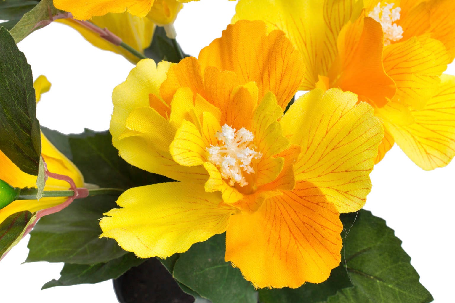 Botanic-Haus Kunstblume »Hibiskus jetzt kaufen im Topf«