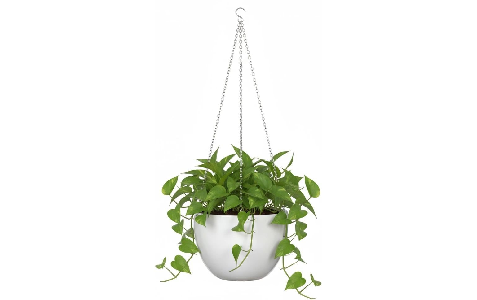Scheurich Pot de fleurs »21/835 Hanging Pot« Blumentopf aus Keramik, ØxH: 22x16,8 cm