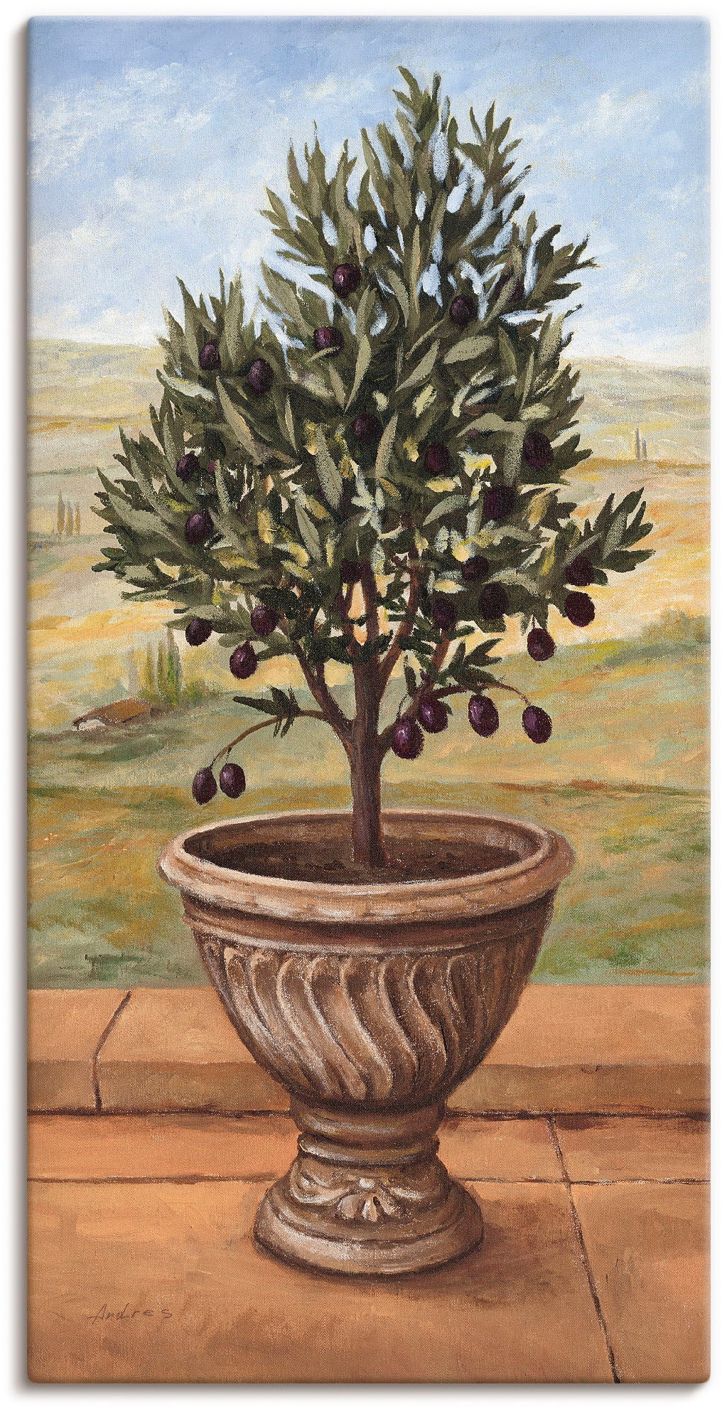 Image of Artland Leinwandbild "Olivenbaum" Pflanzen 1 Stk. tlg. auf Holzrahmen gespannt