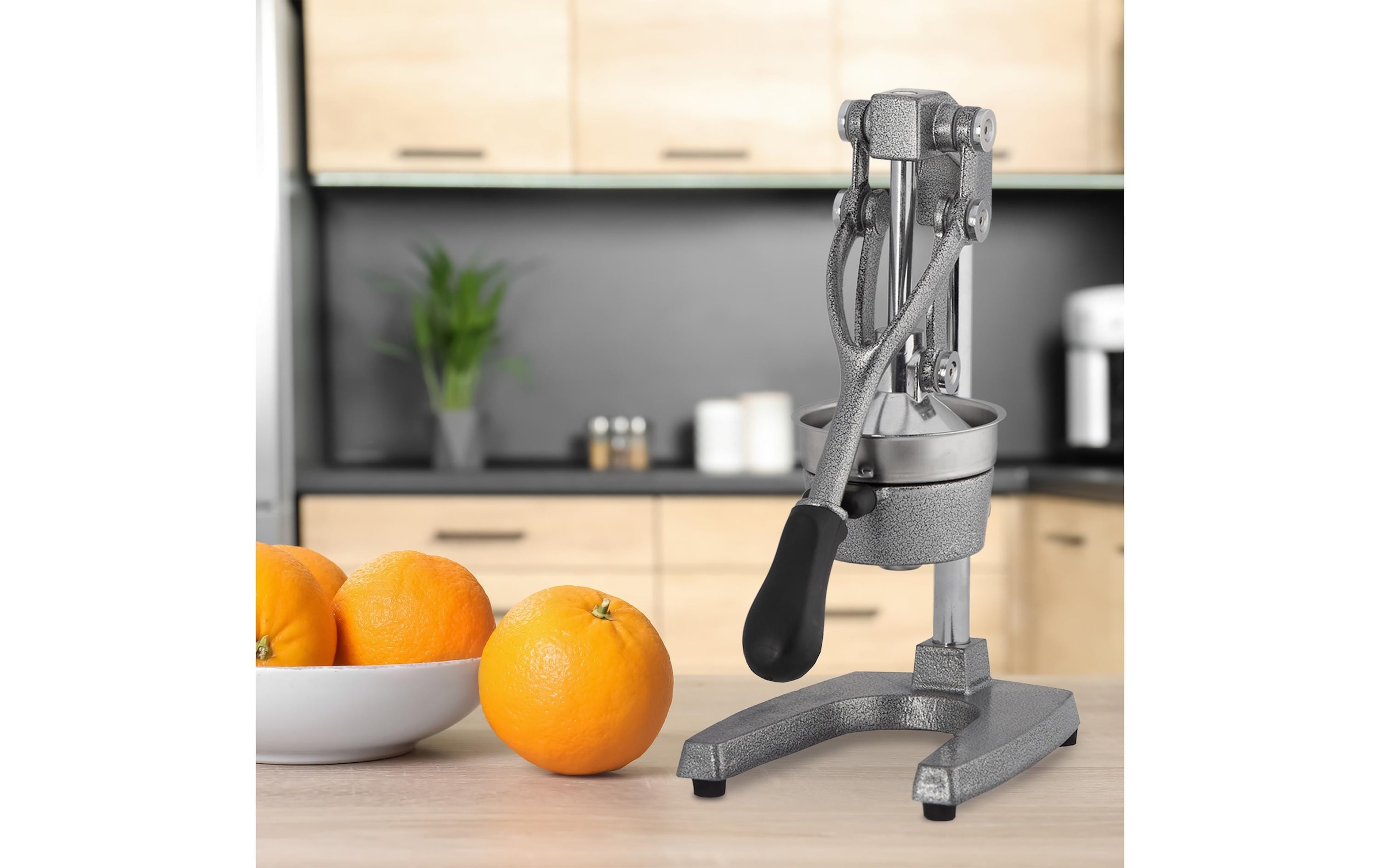 relaxdays Presse-fruits compatible lave-vaisselle