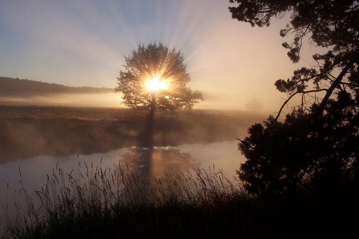 Image of Papermoon Fototapete "Fluss Sonnenaufgang"
