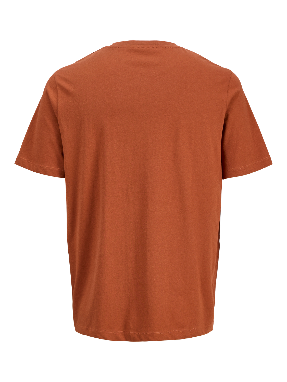 Jack & Jones Print-Shirt »JORCANGGU TEE SS CREW NECK FST«, mit Logoprint