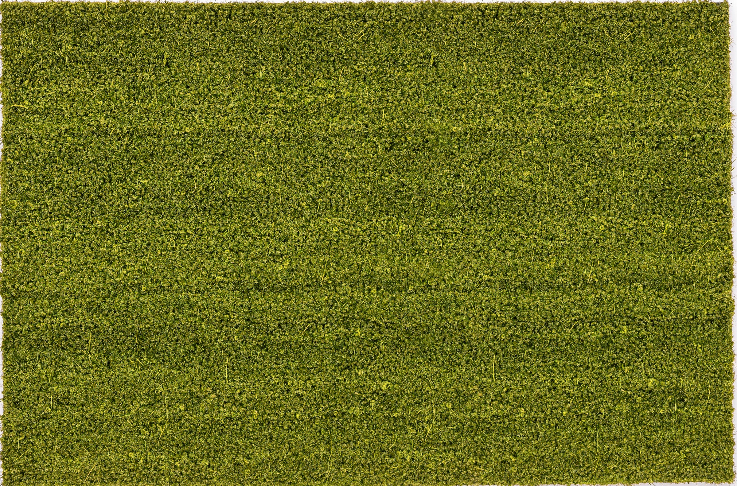 Image of ASTRA Fussmatte »Kokosvelours 106«, rechteckig, 16 mm Höhe, Schmutzfangmatte, Kokosmatte, In -und Outdoor geeignet bei Ackermann Versand Schweiz