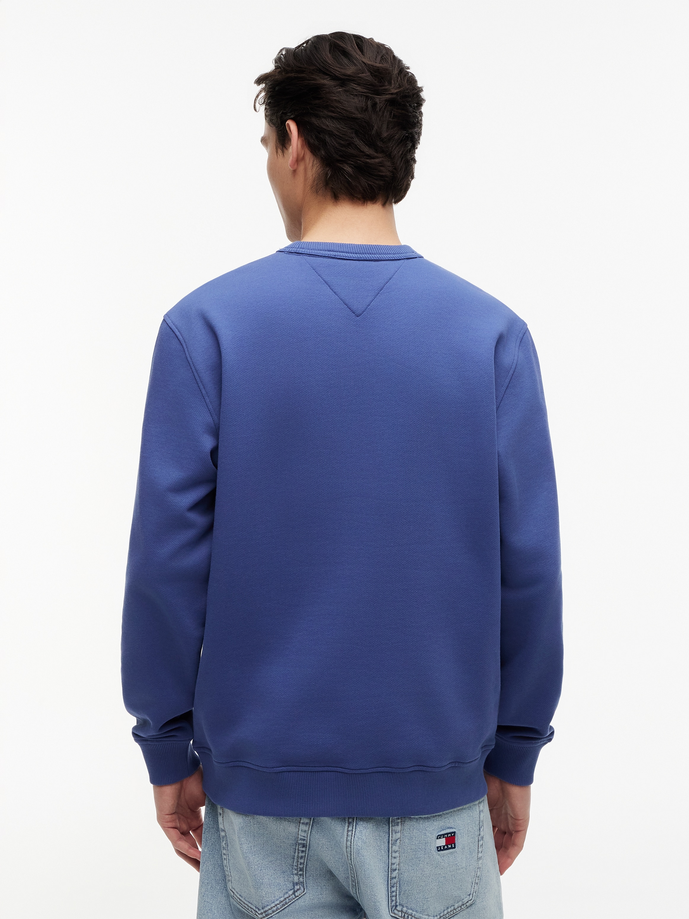 Tommy Jeans Sweat-shirt »TJM REG BADGE CREW EXT«
