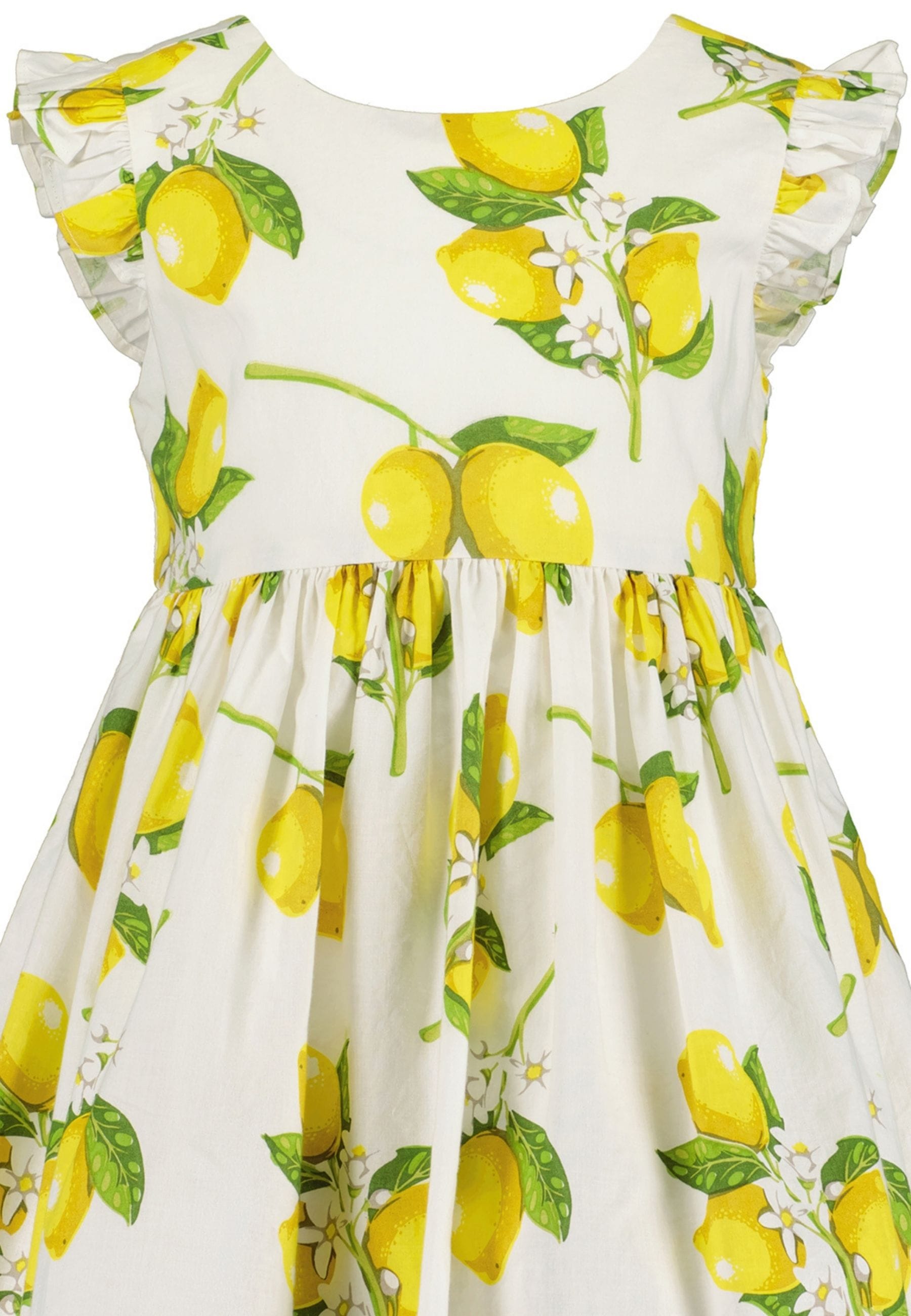 Blue Seven Sommerkleid, mit süssen Flügelärmeln und sommerlichem Alloverdruck