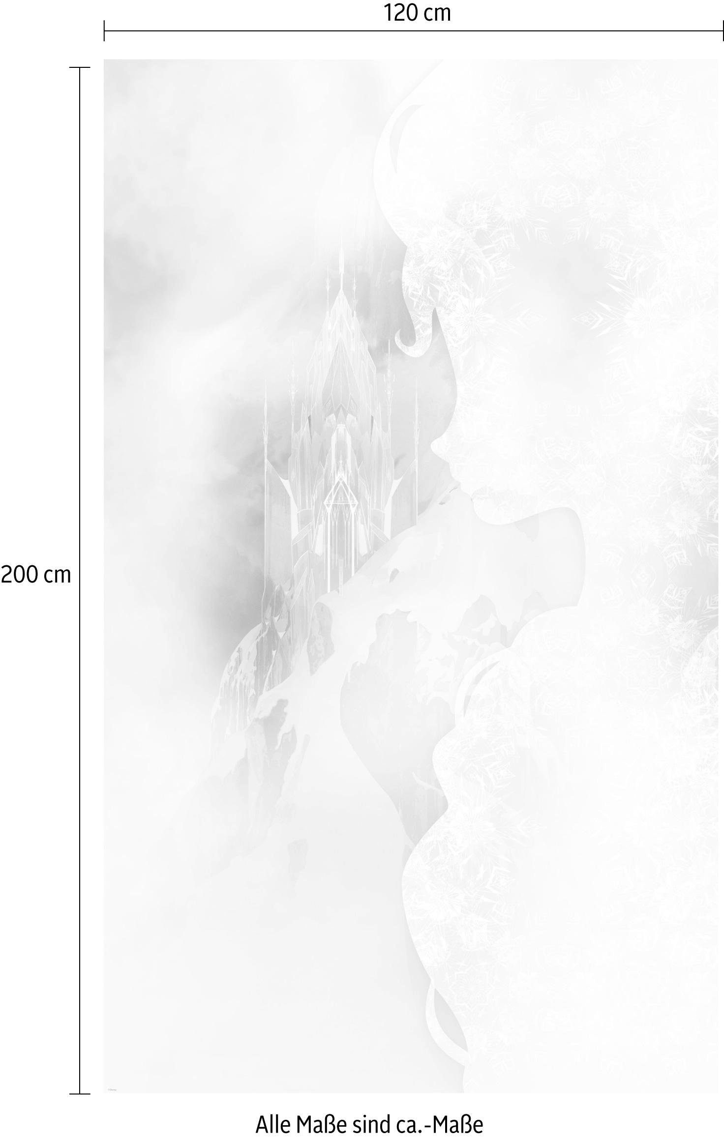 Komar Vliestapete »Frozen Winter Mist«, 120x200 cm (Breite x Höhe), Vliestapete, 100 cm Bahnbreite