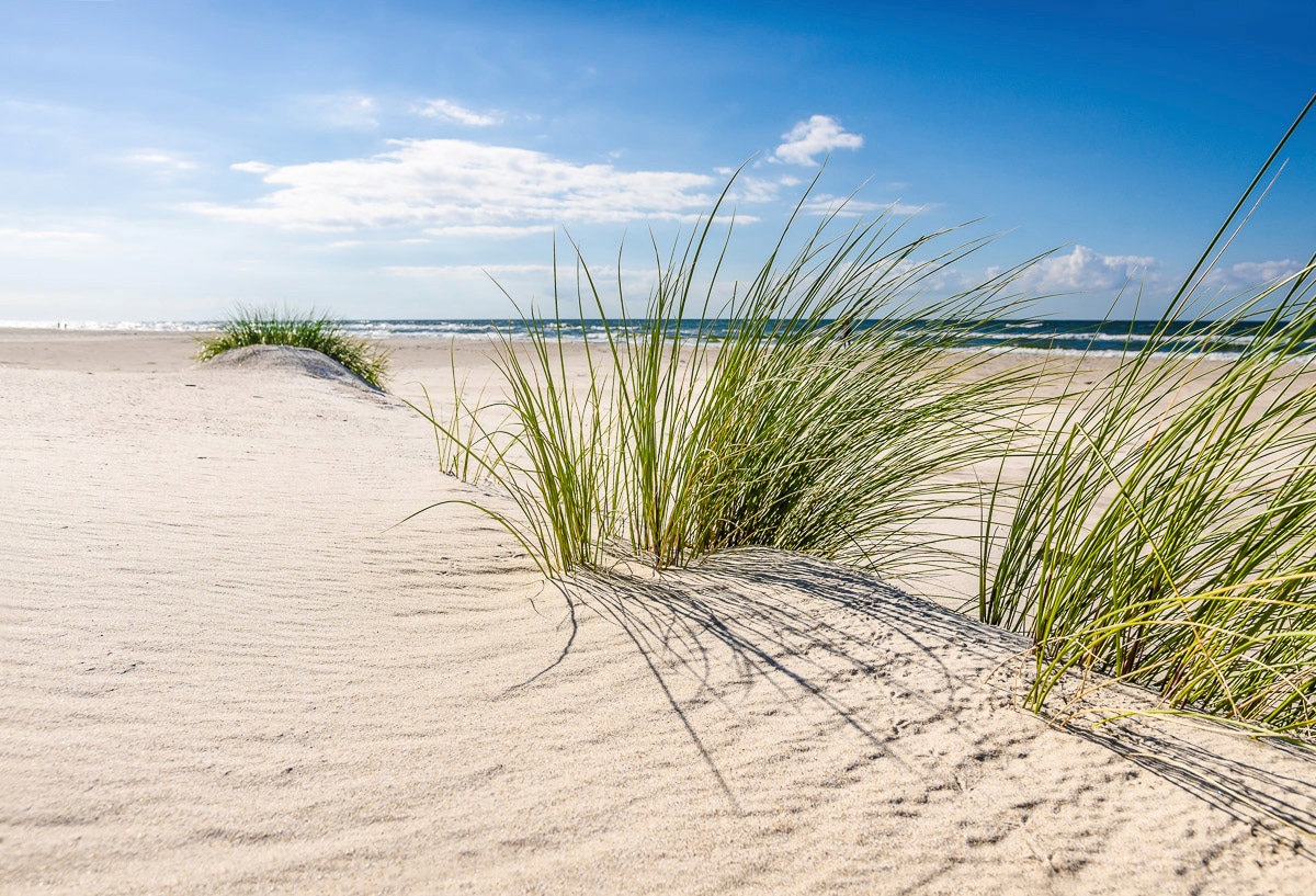 Image of Papermoon Fototapete "DÜNEN-NATUR NORD SEE SAND STRAND MEER WÜSTE LANDSCHAFT"