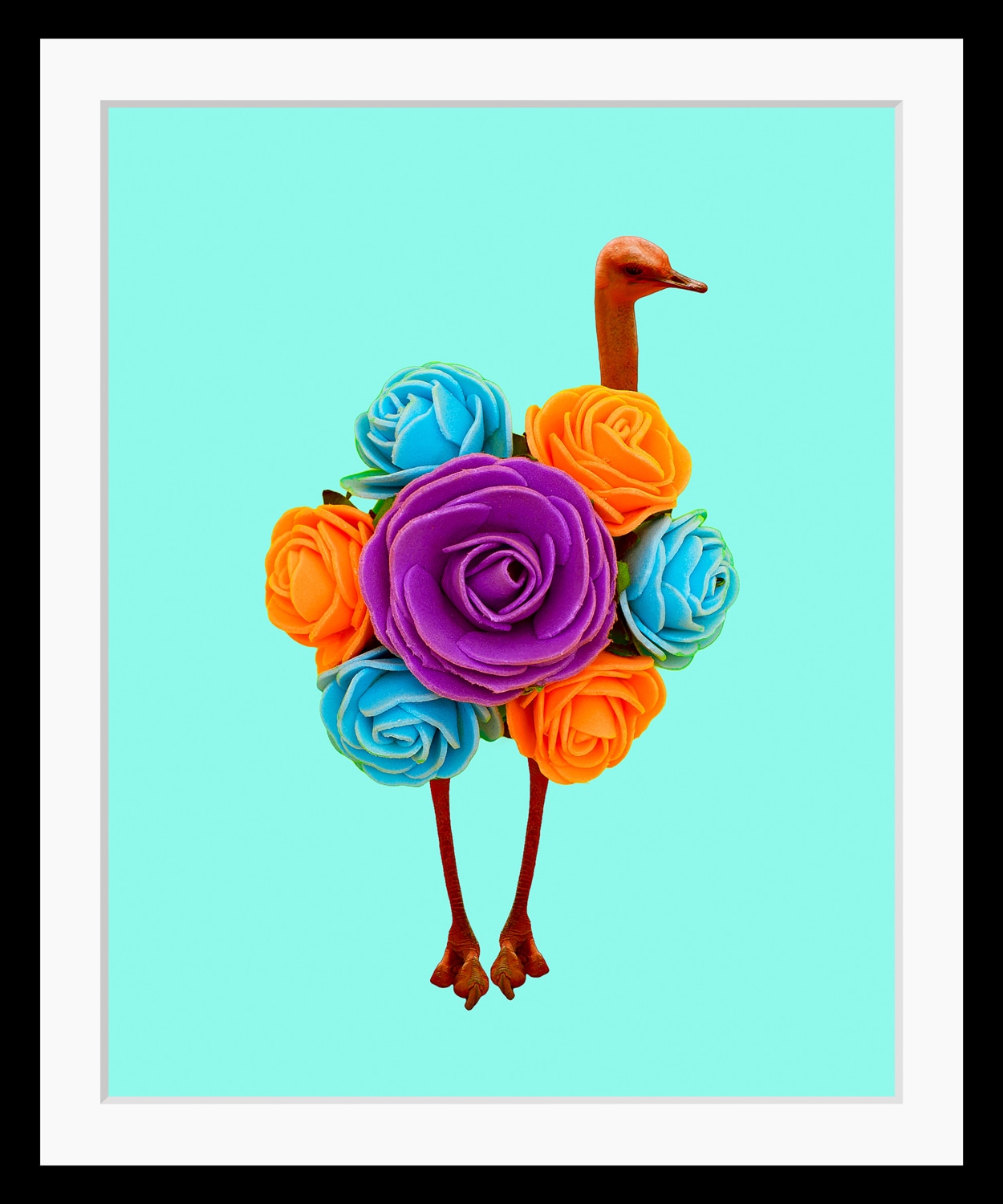 Image of queence Bild "Amy" Blumen Humor Kunst Vogelbilder Vögel HD Premium Poster-Druck inkl. Holzrahmen