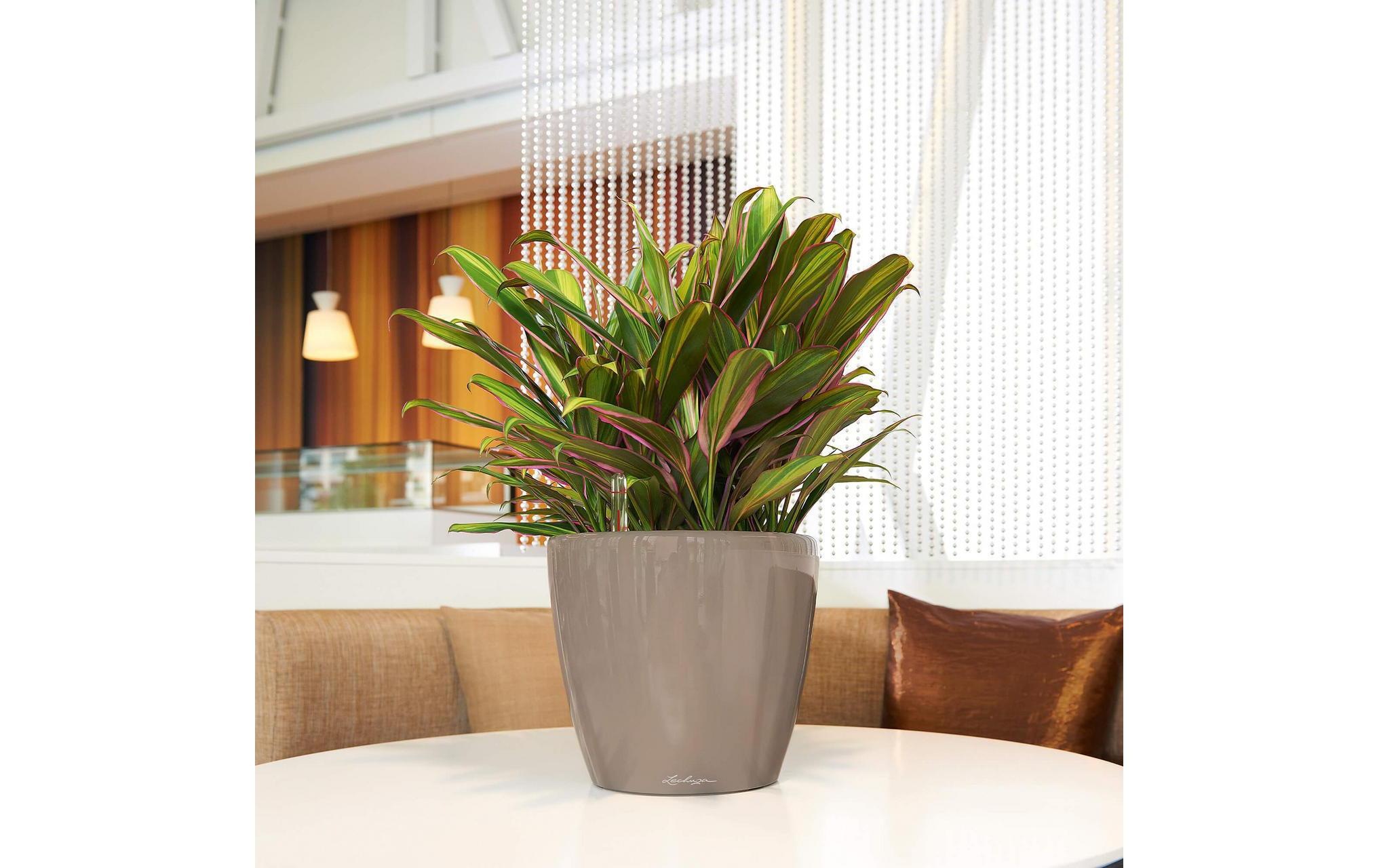   Cache-pot »Classico Premium 28 LS Taupe«