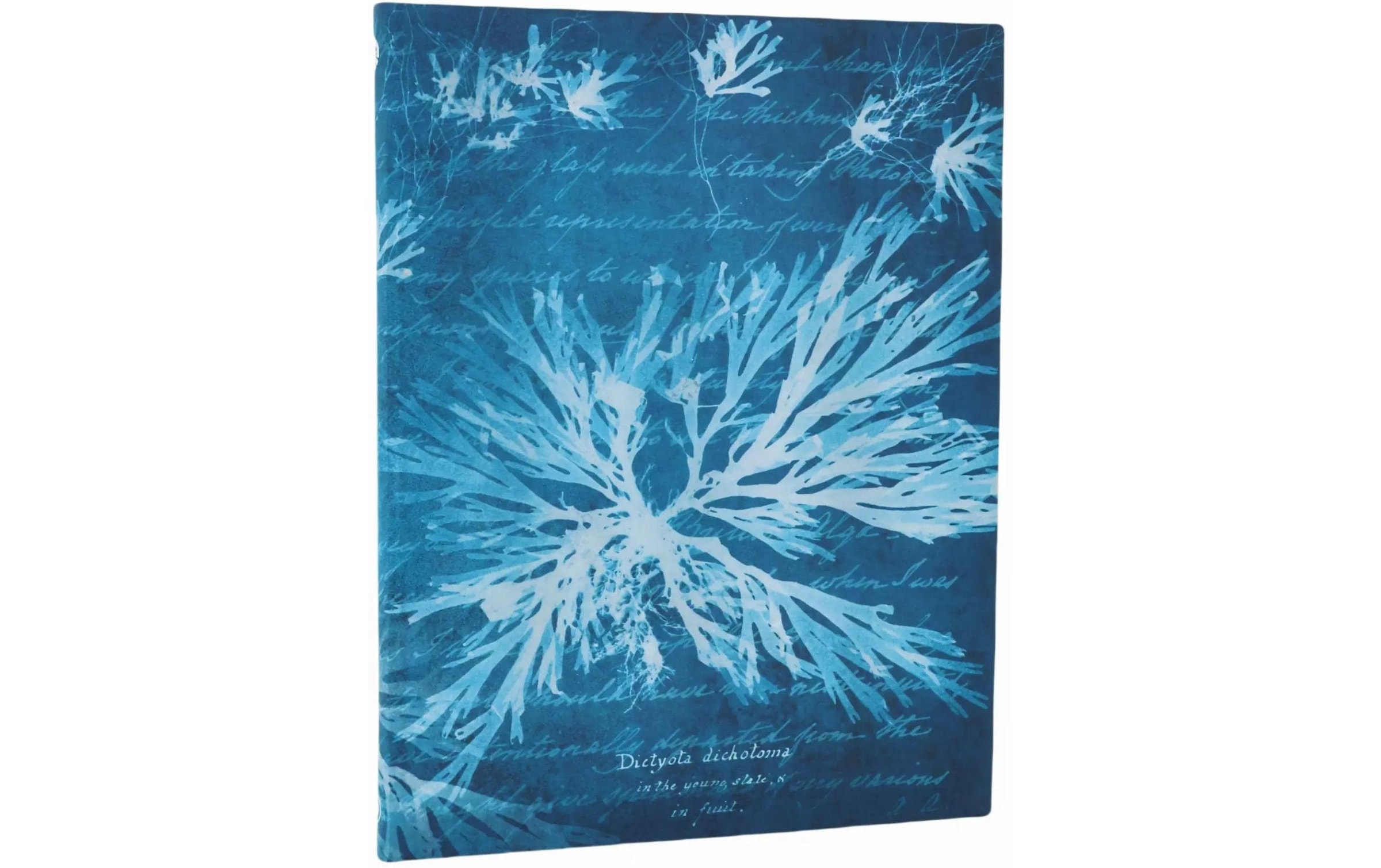   Notizheft »Paperblanks Notizbuch Meeresblumen 17.5 x 22.5 cm, Liniert«