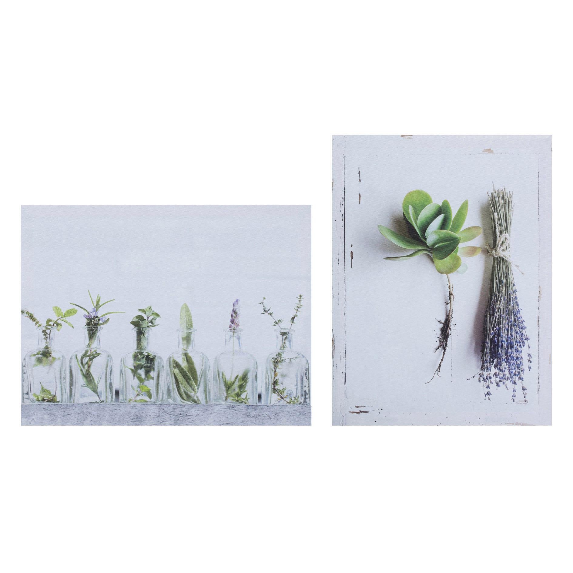 Image of Creativ home Leinwandbild »HERBS«, (Set, 2 St.), 2er Set bei Ackermann Versand Schweiz