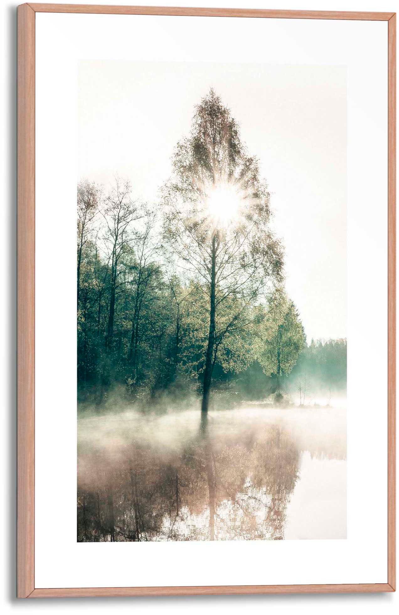 Image of Reinders Poster "Sonne durch die Bäume"