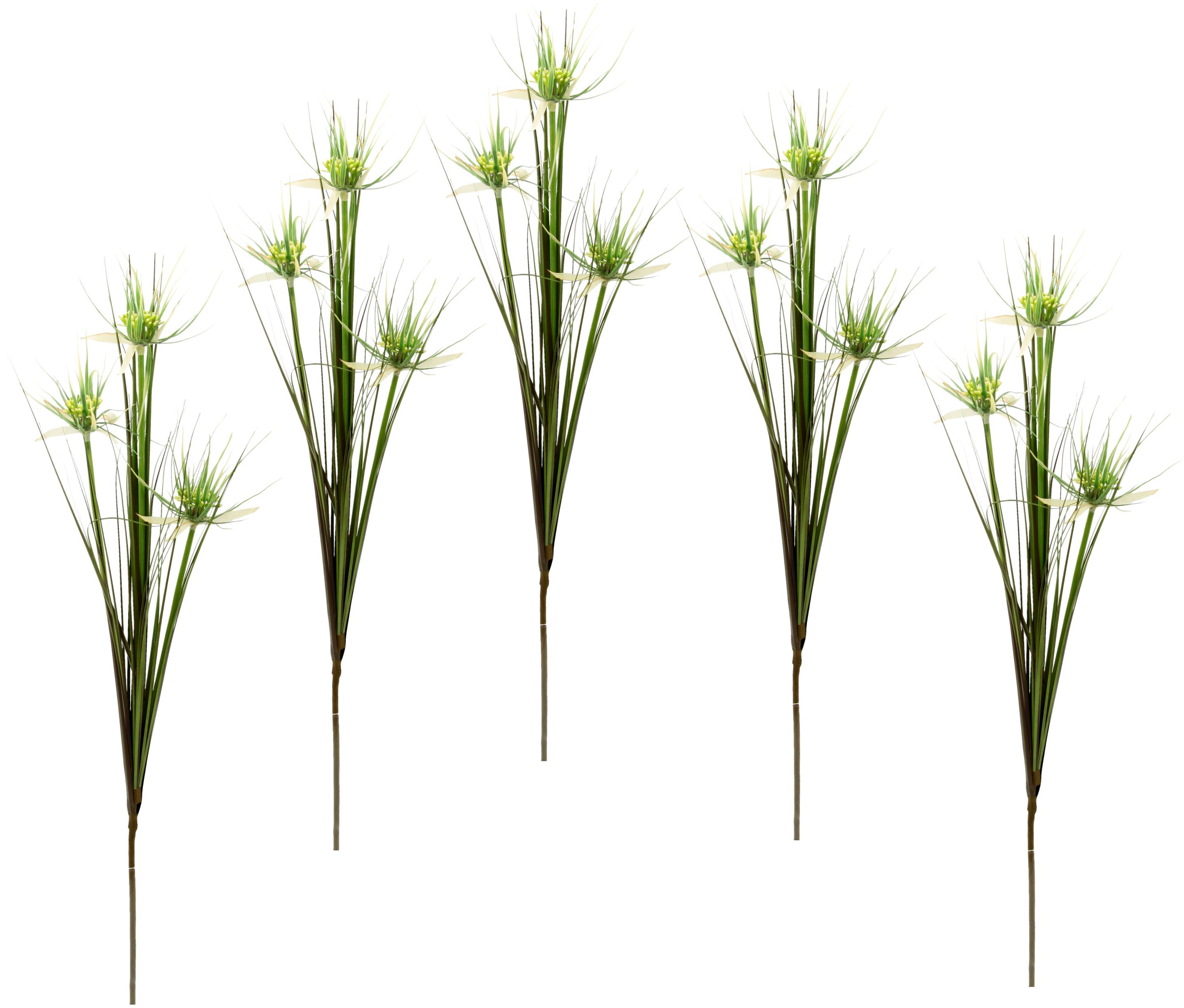 Image of I.GE.A. Kunstblume »Papyruszweig«, (5 St.), 5er Set bei Ackermann Versand Schweiz