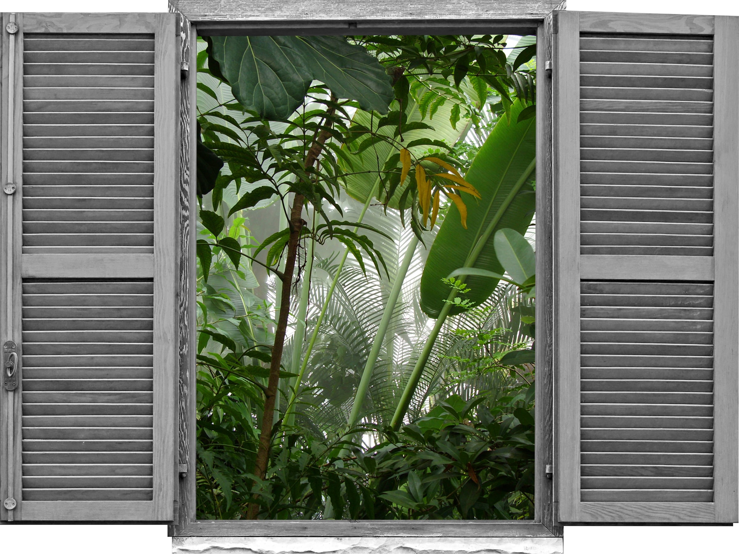 Image of queence Wandtattoo "Urwald" Wandsticker, Wandbild, selbstklebend, 3D, Fenster