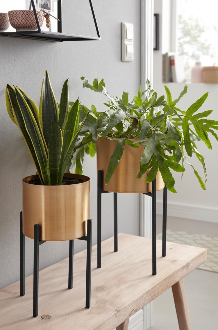 Blumenständer, (Set, 2 St.), COUCH Lieblingsstücke