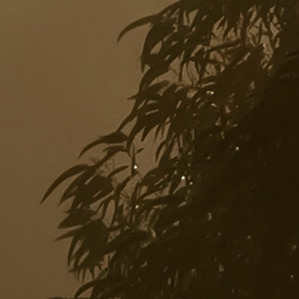 Komar Fototapete »Digitaldruck Vlies -  Foggy Sunshine - Grösse 400 x 250 cm« bedruckt glatt Wohnzimmer, Schlafzimmer