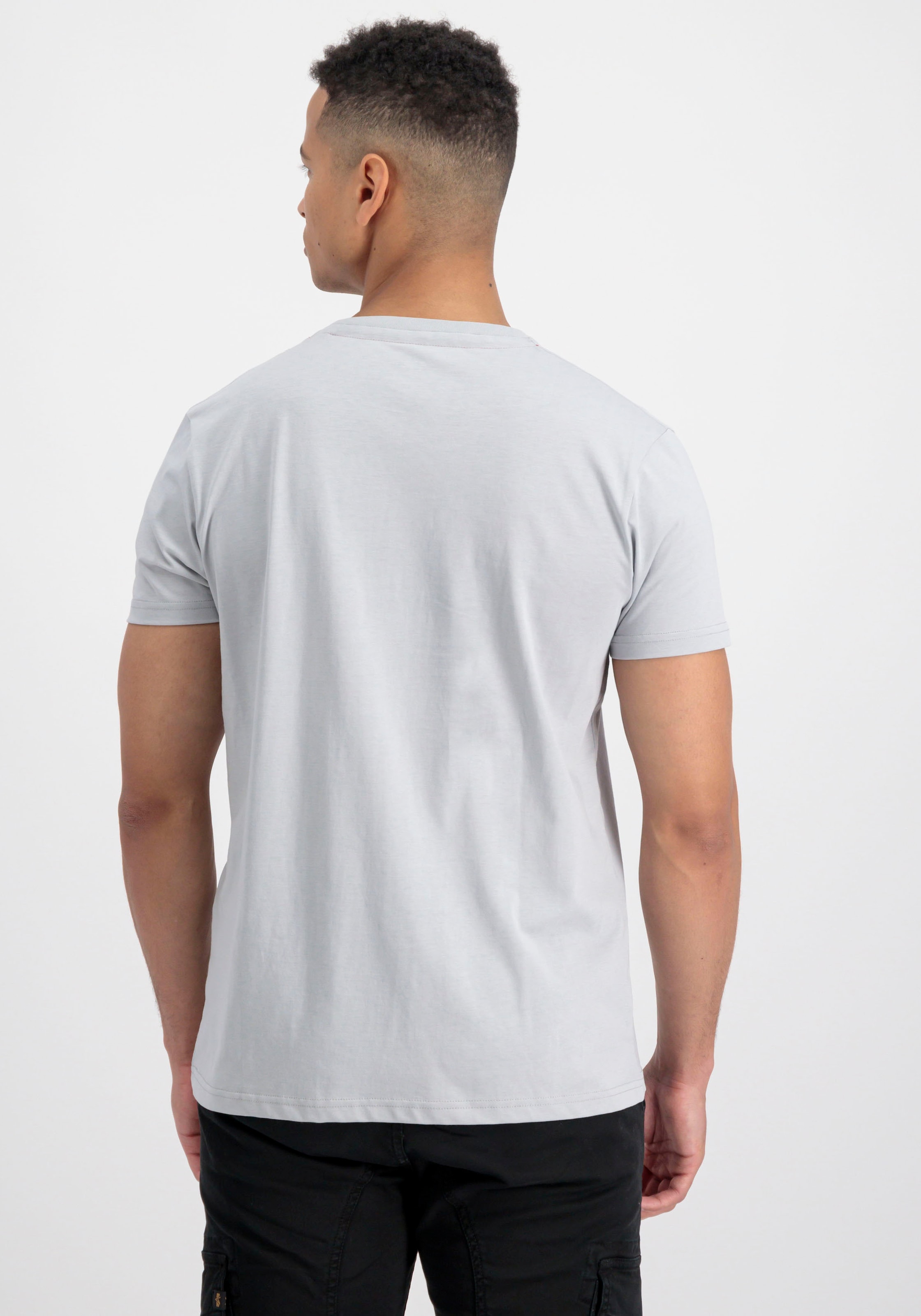 Alpha Industries Rundhalsshirt »BASIC T SMALL LOGO«