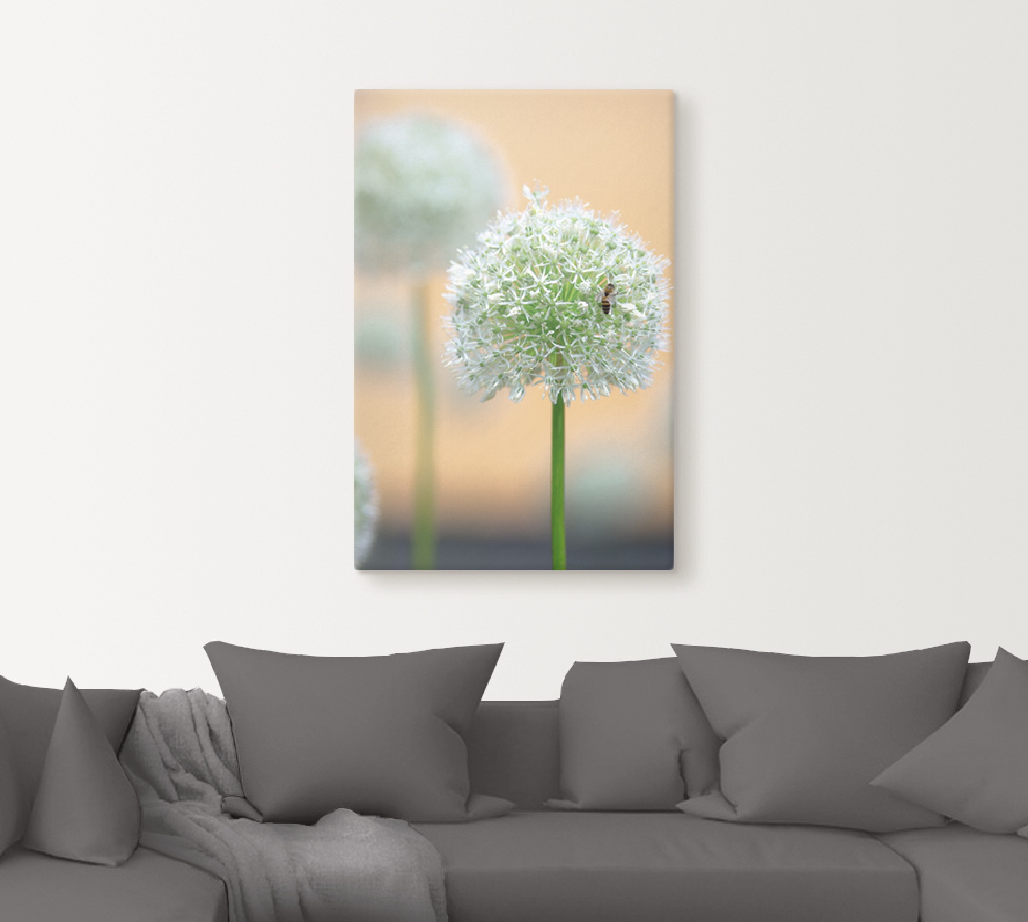 Image of Artland Wandbild »Grosser Allium in Pastell«, Blumen, (1 St.), in vielen Grössen & Produktarten - Alubild / Outdoorbild für den Aussenbereich, Leinwandbild, Poster, Wandaufkleber / Wandtattoo auch für Badezimmer geeignet bei Ackermann Versand Schweiz