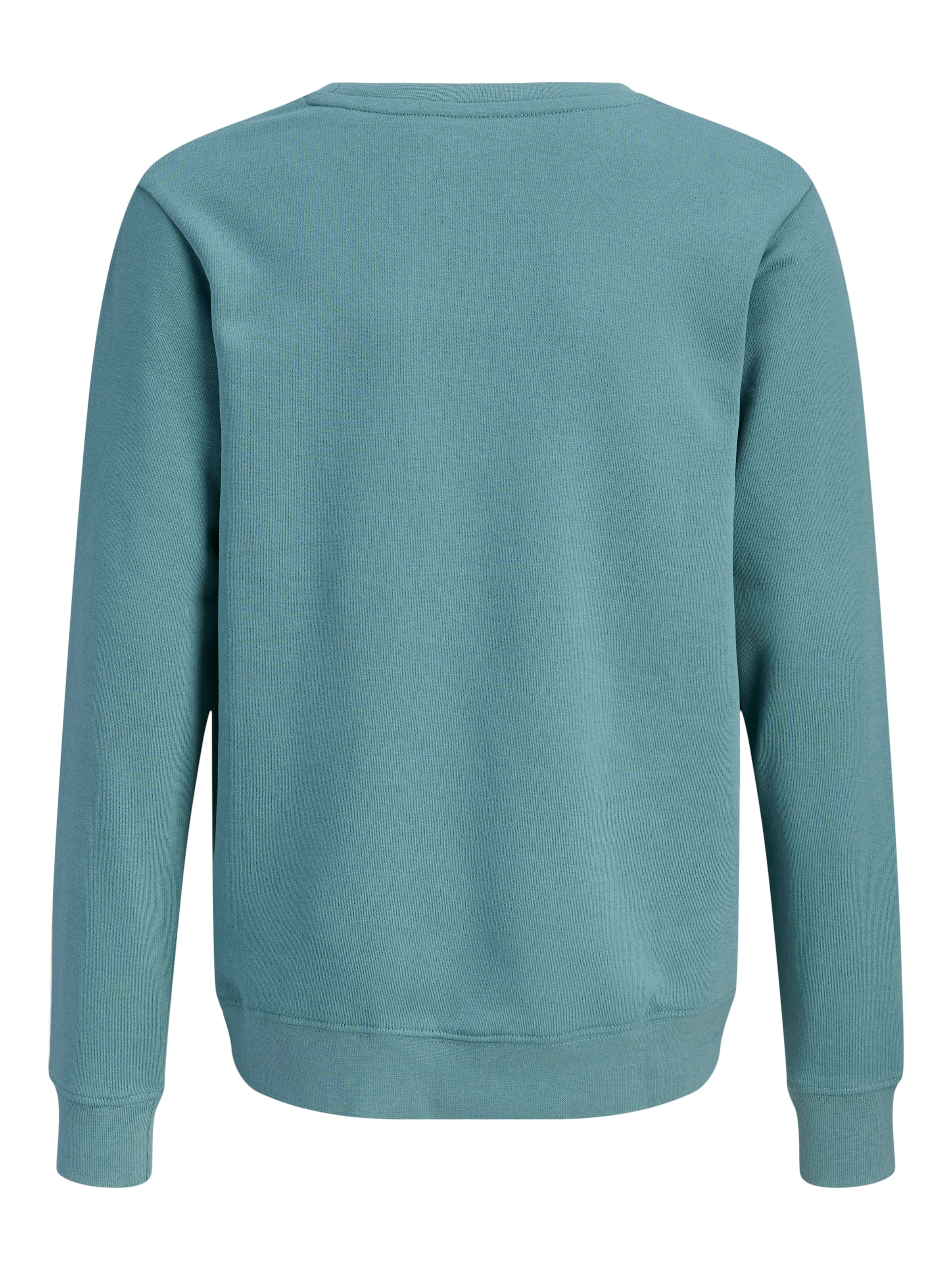 Jack & Jones Junior Sweatshirt »JJCOLE PRINT SWEAT CREW JNR«, mit Logoprint
