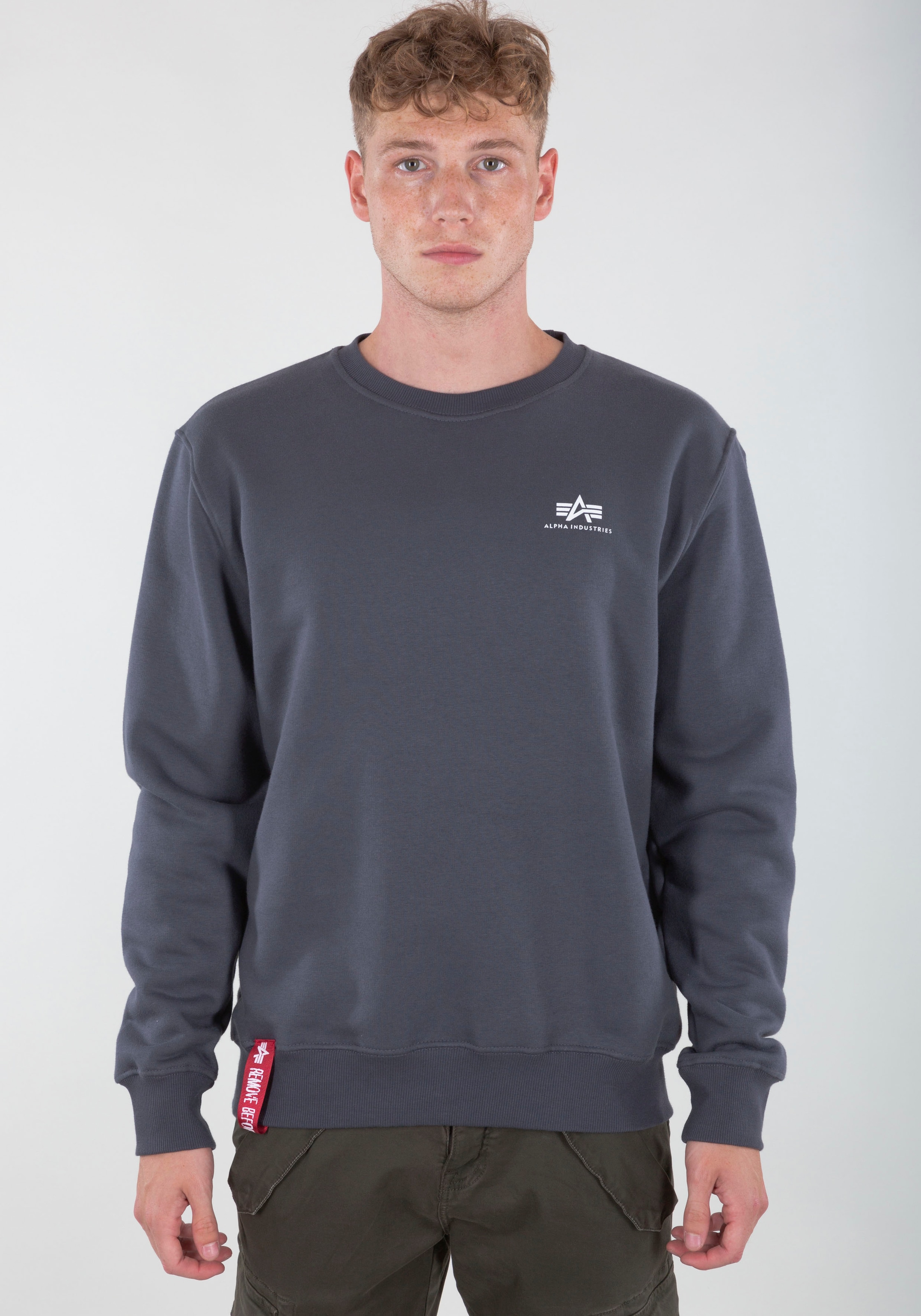 Image of Alpha Industries Sweatshirt "Basic Sweater small Logo", Baumwollmischung, regular fit