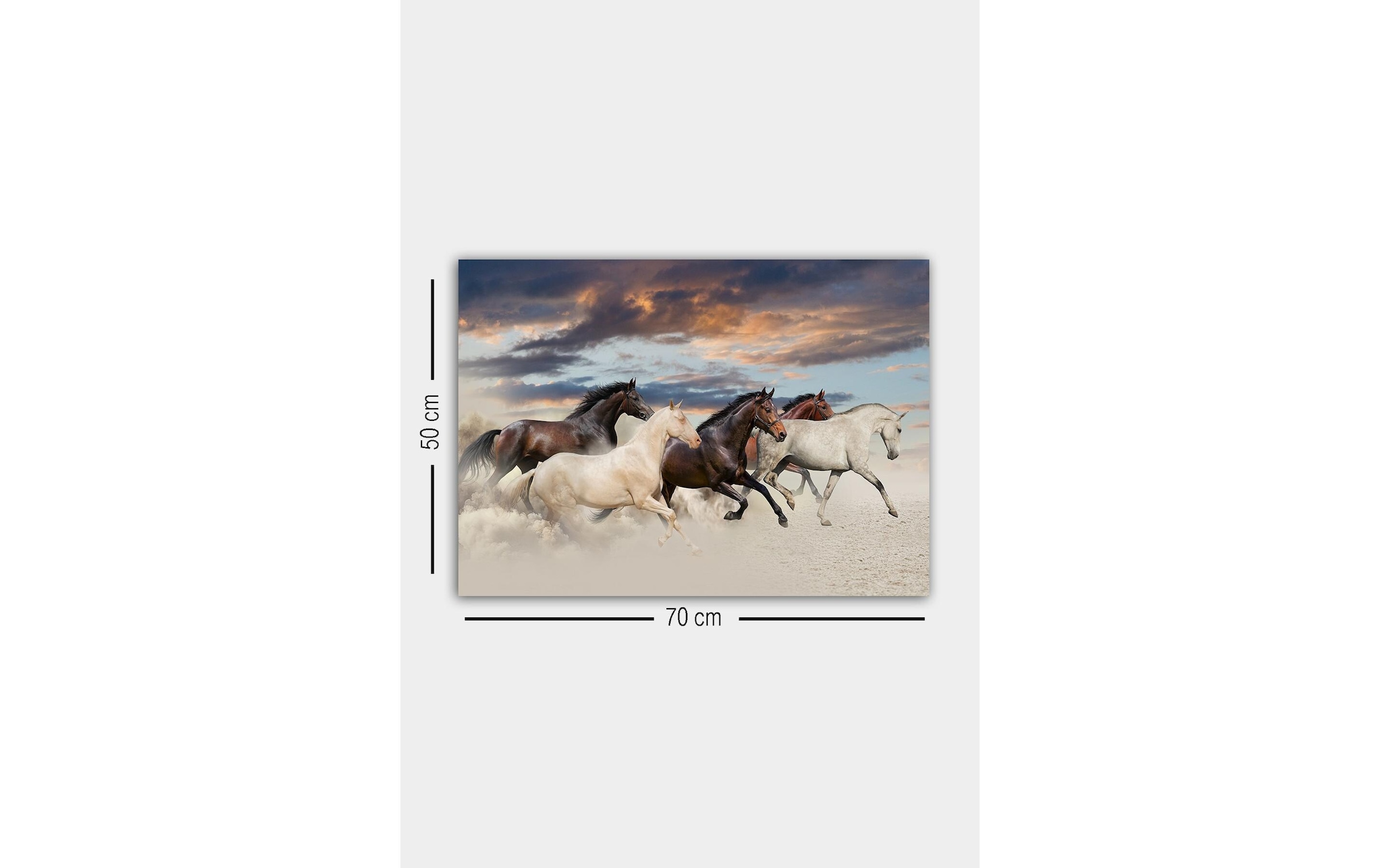 Wandbild »Wallxpert Pferde 50 x 70 cm«