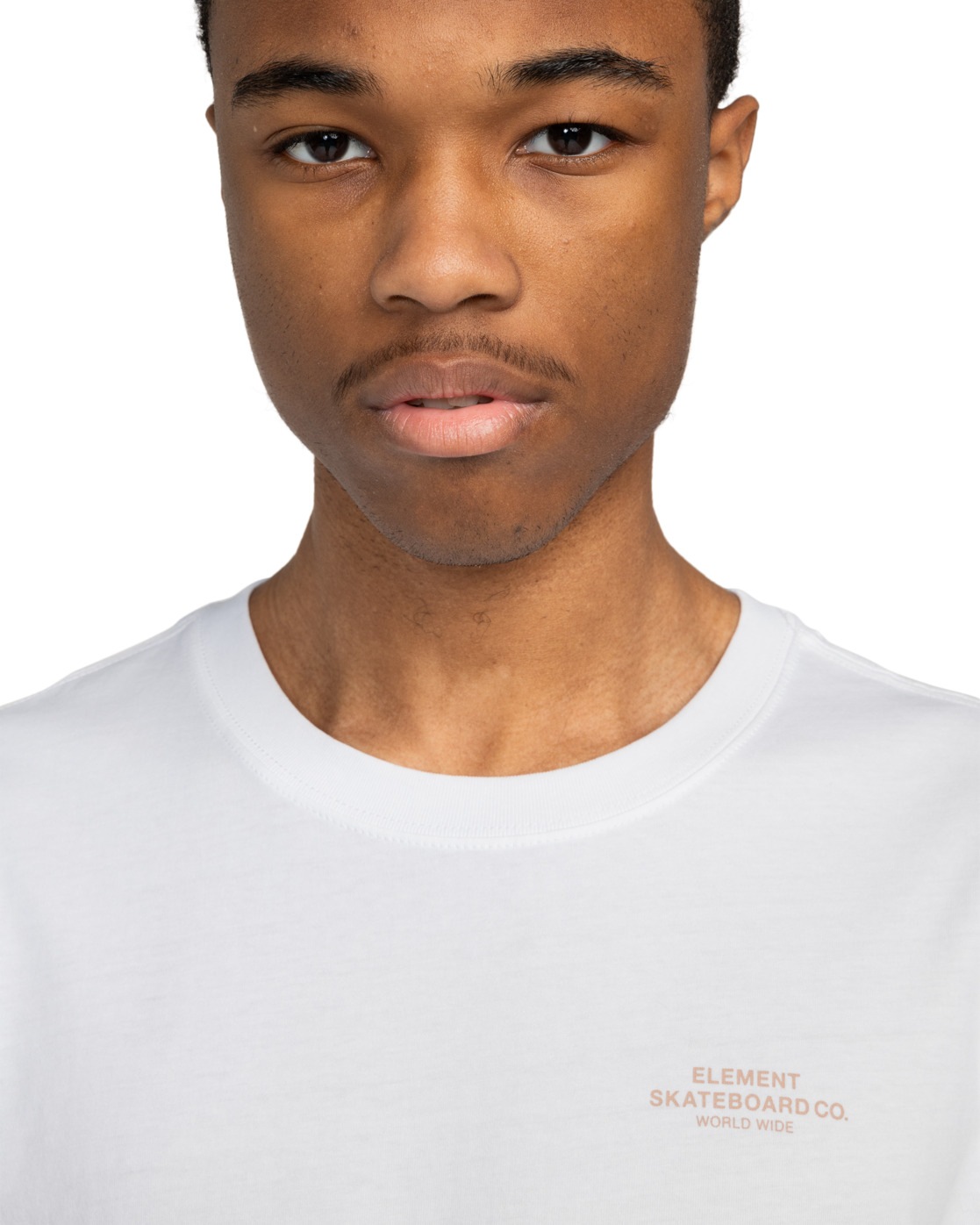 Element T-Shirt »Skateboard Co«