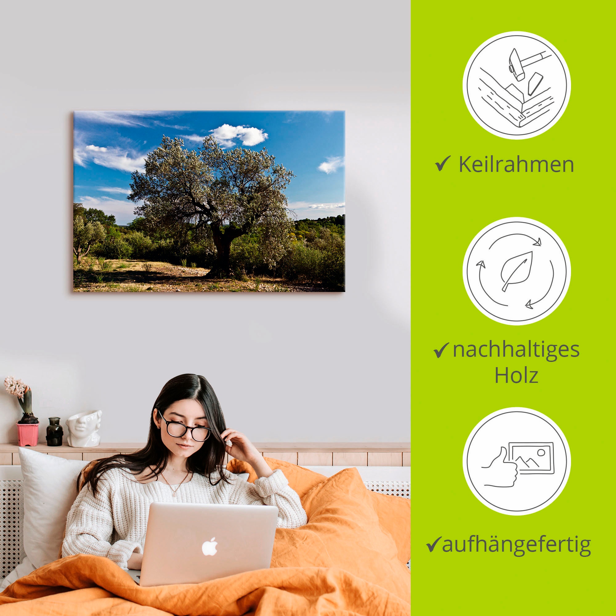 Artland Wandbild »Olivenbaum in Südfrankreich«, Bäume, (1 St.), als Alubild, Outdoorbild, Leinwandbild, Poster in verschied. Grössen