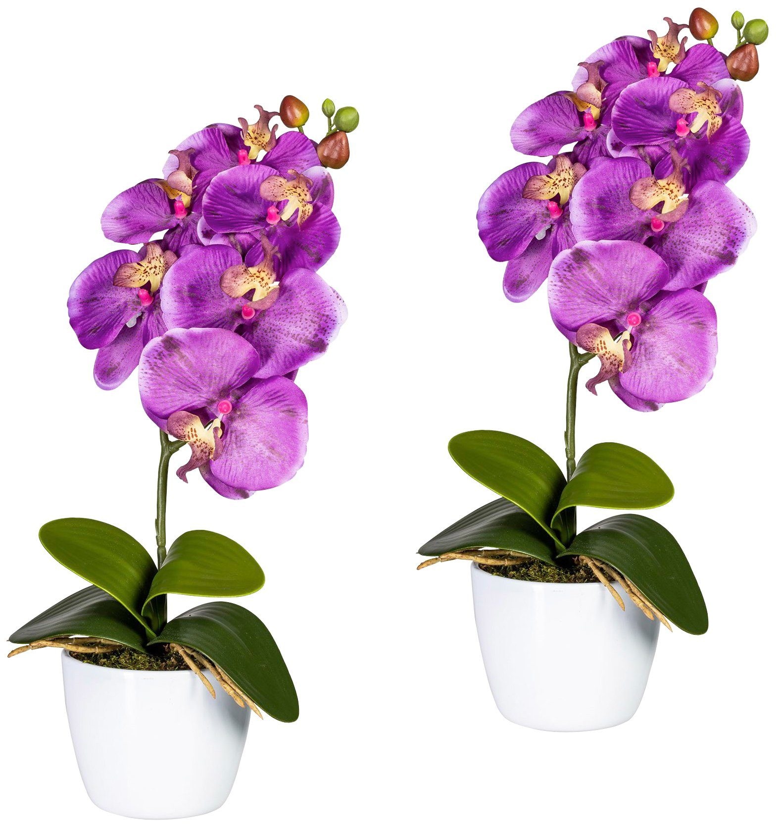 »Orchidee Kunstpflanze Phalaenopsis«, Creativ green im Keramiktopf