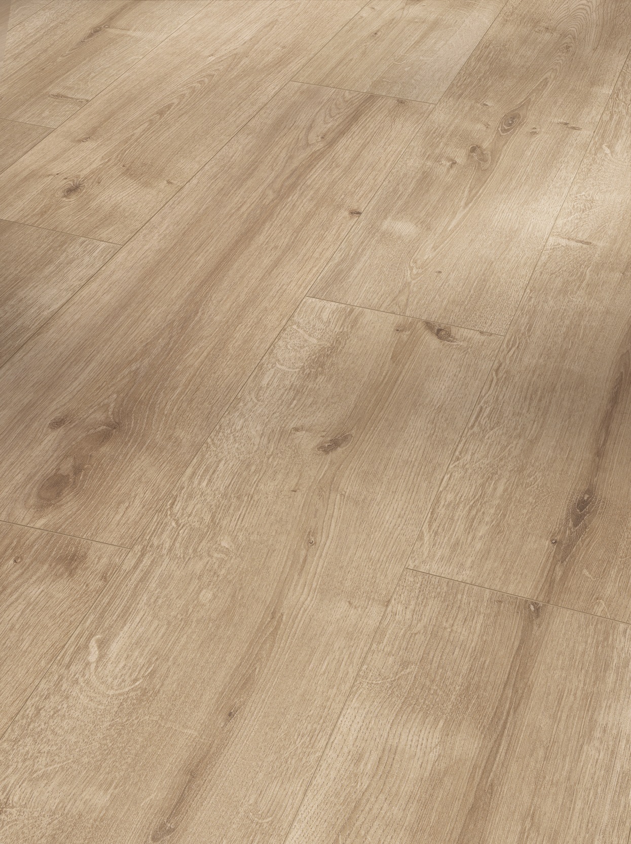 Image of PARADOR Laminat »Basic 600 - Eiche geschliffen«, (Packung), Kantenimprägnierung, 1285 x 243 mm, Stärke: 8 mm bei Ackermann Versand Schweiz
