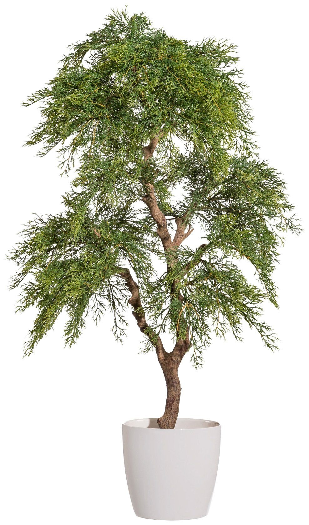 Image of Creativ green Kunstbaum »Zypresse«, (1 St.), im Keramiktopf bei Ackermann Versand Schweiz
