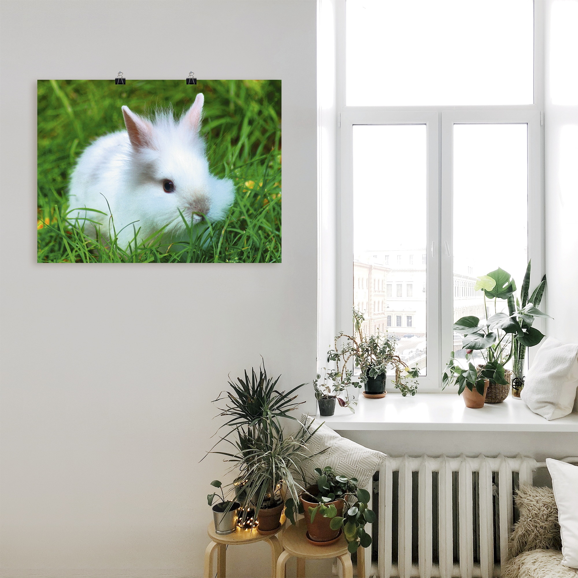 Artland Wandbild »Weisses Zwergkaninchen Baby«, Wildtiere, (1 St.), als Poster, Wandaufkleber in verschied. Grössen