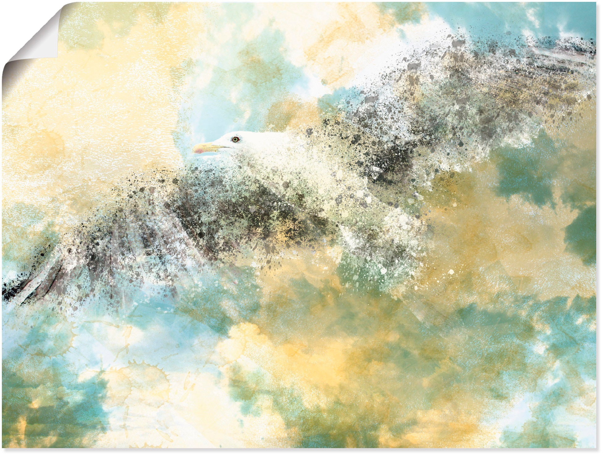 Image of Artland Wandbild »Verschwindende Möwe«, Vögel, (1 St.), in vielen Grössen & Produktarten - Alubild / Outdoorbild für den Aussenbereich, Leinwandbild, Poster, Wandaufkleber / Wandtattoo auch für Badezimmer geeignet bei Ackermann Versand Schweiz