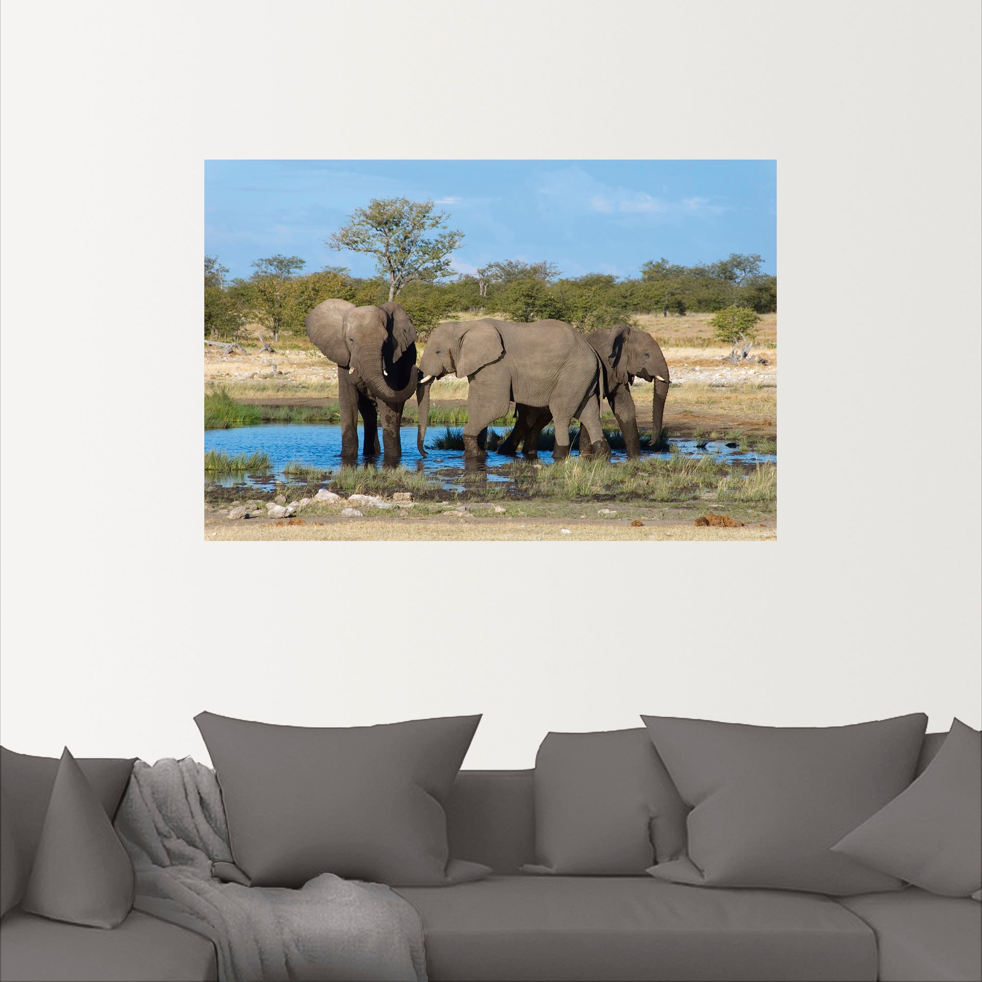 Artland Wandbild »Afrikanischer Elefant EtoshaNationalpark«, Elefanten Bilder, (1 St.), als Leinwandbild, Wandaufkleber in verschied. Grössen
