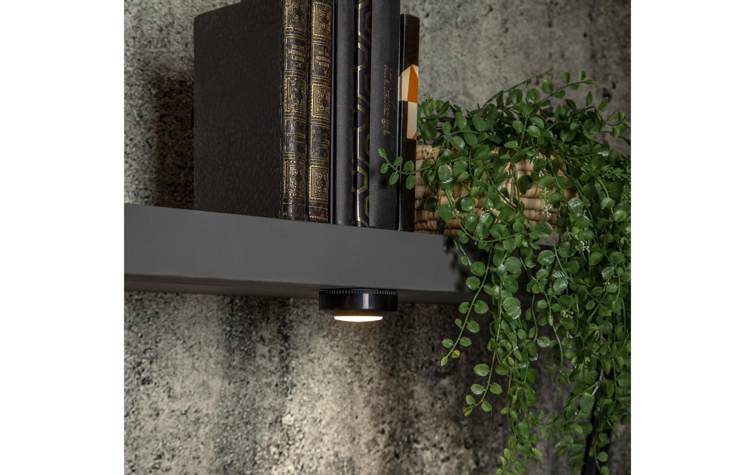 Parforce Traditional Hunting Lampe d'appoint »Unterbauleuchte LED«